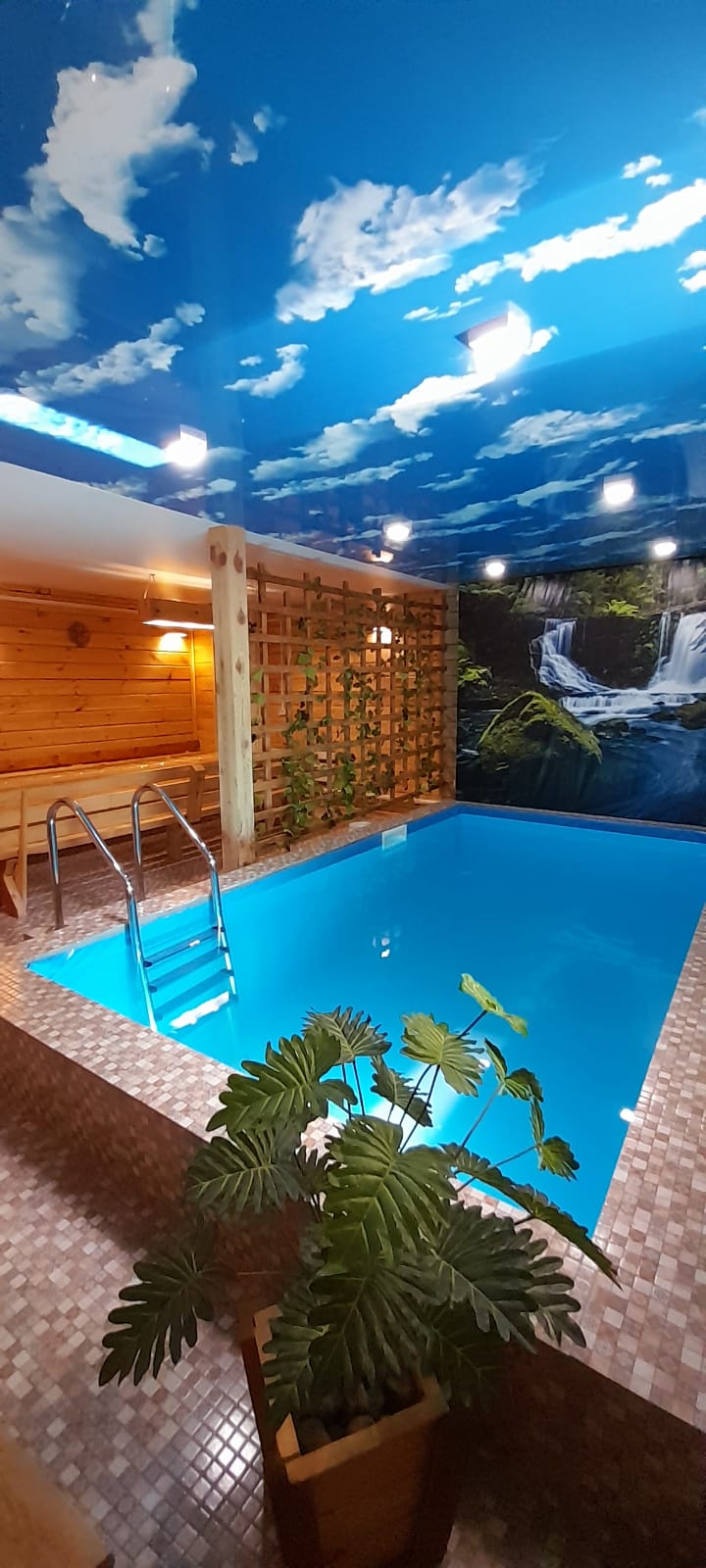 Фото Усадьба Цвет папоротника