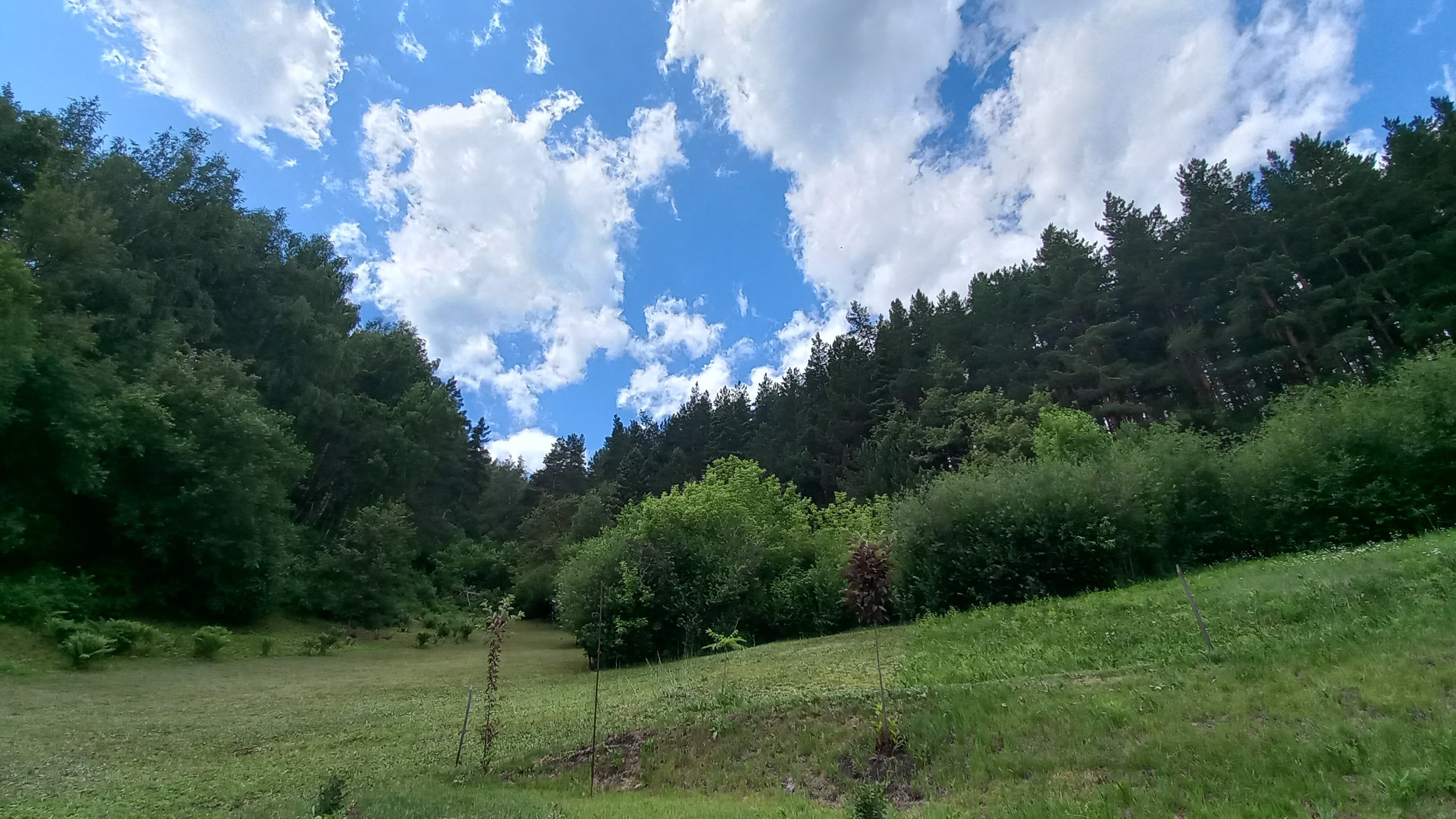 Фото Усадьба Жар-Птица