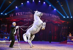 Nikulin's Moscow Circus on Tsvetnoy Boulevard (Tsvetnoy Boulevard, 13), circus