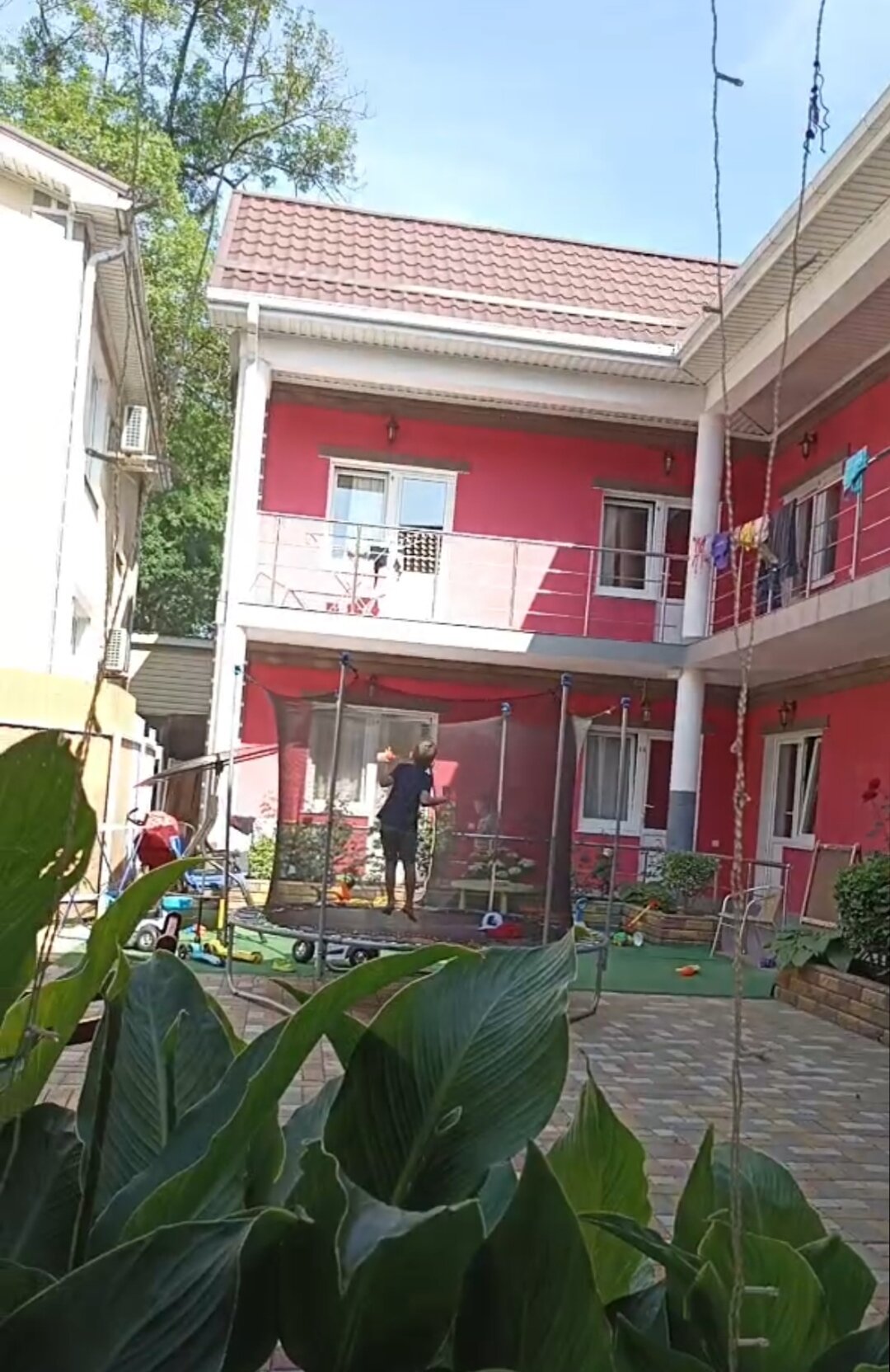 Фото Малина