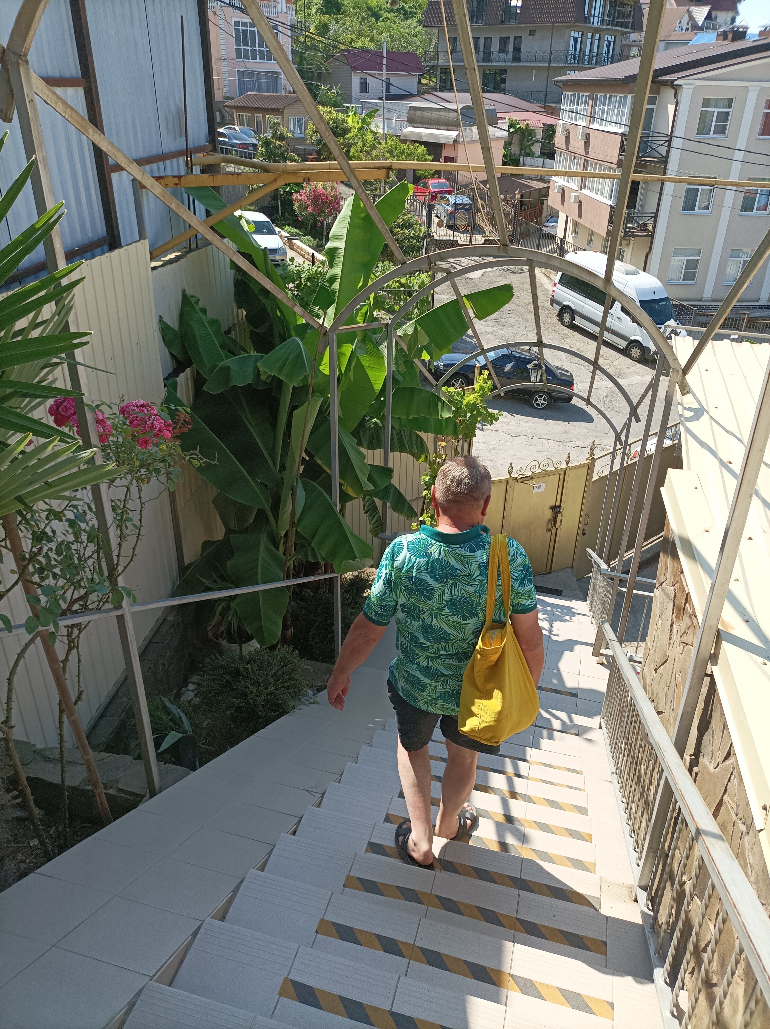 Фото Фортуна