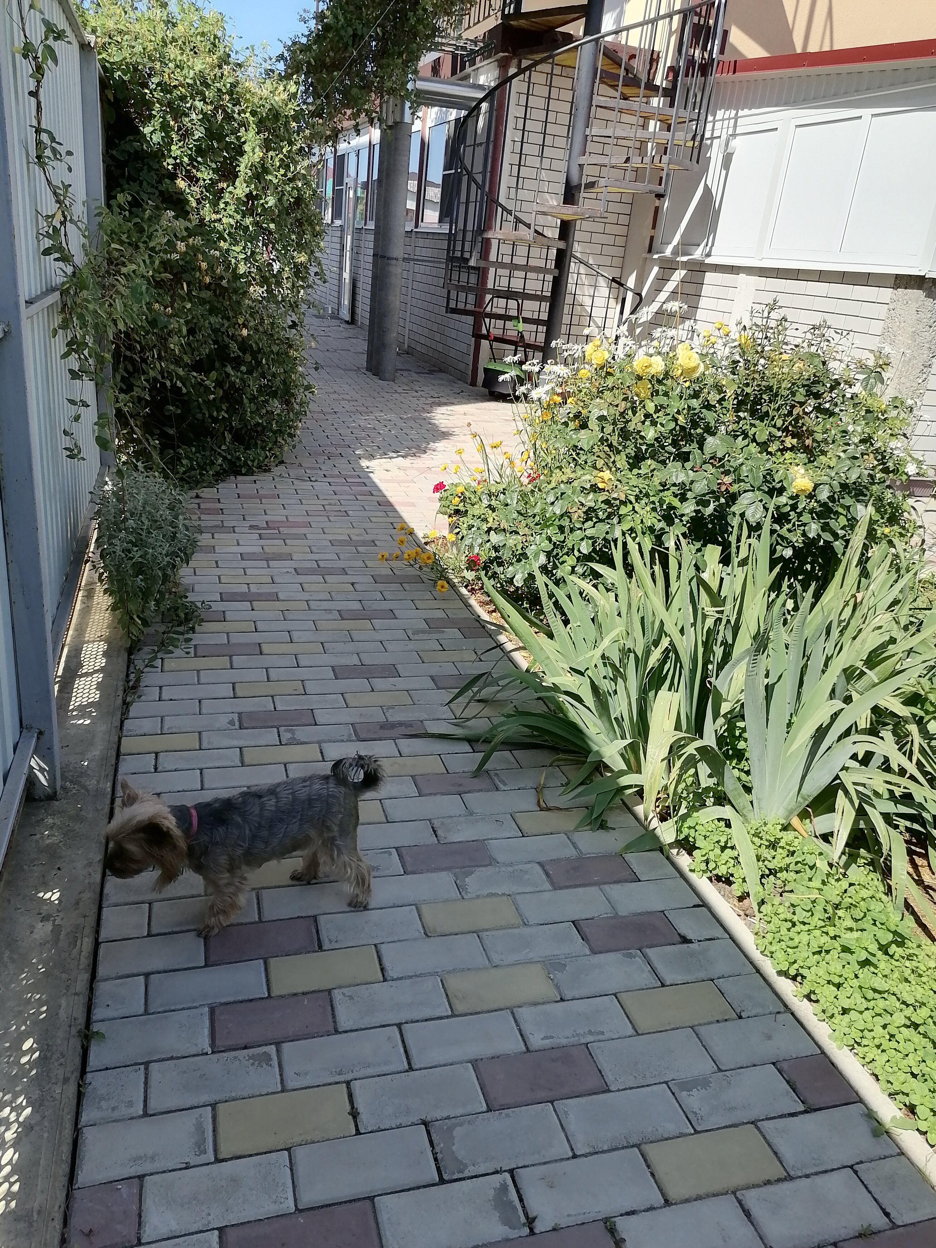 Фото Белогорье