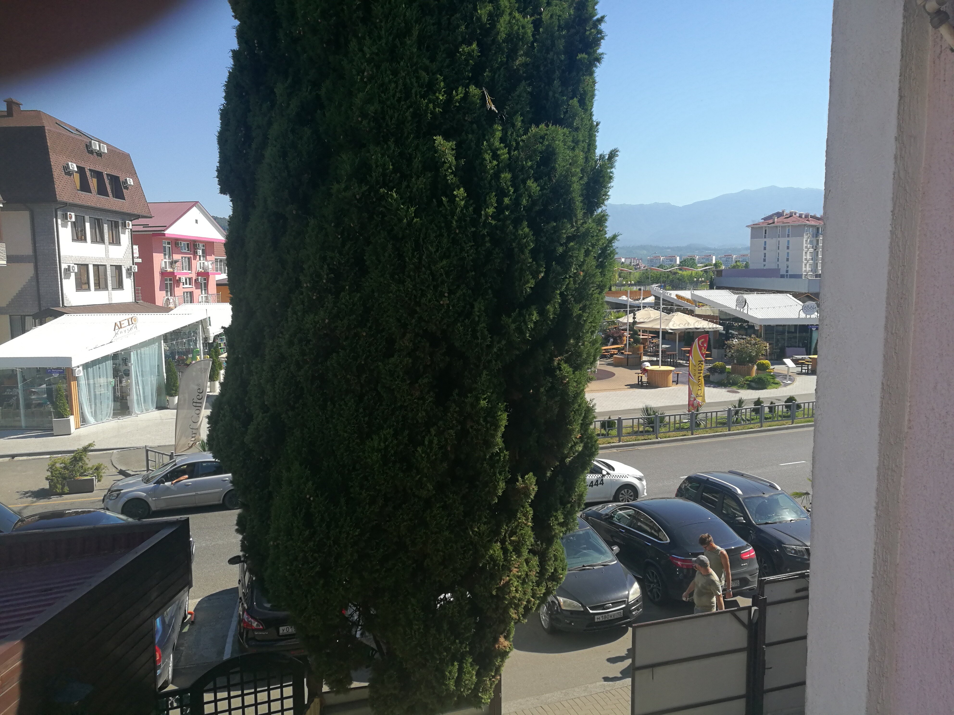 Фото Фортуна