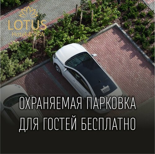 Гостиница Лотос в Геленджике