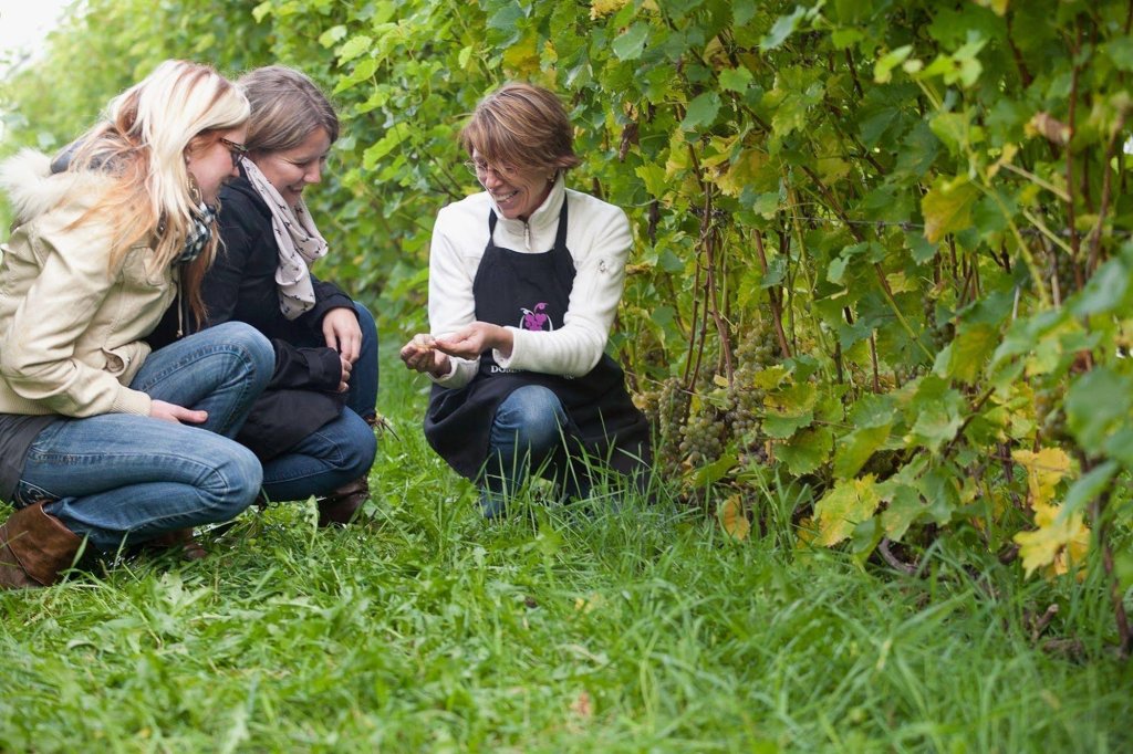 Фото St Christophe Hotel & SPA, an Ascend Hotel Collection Member