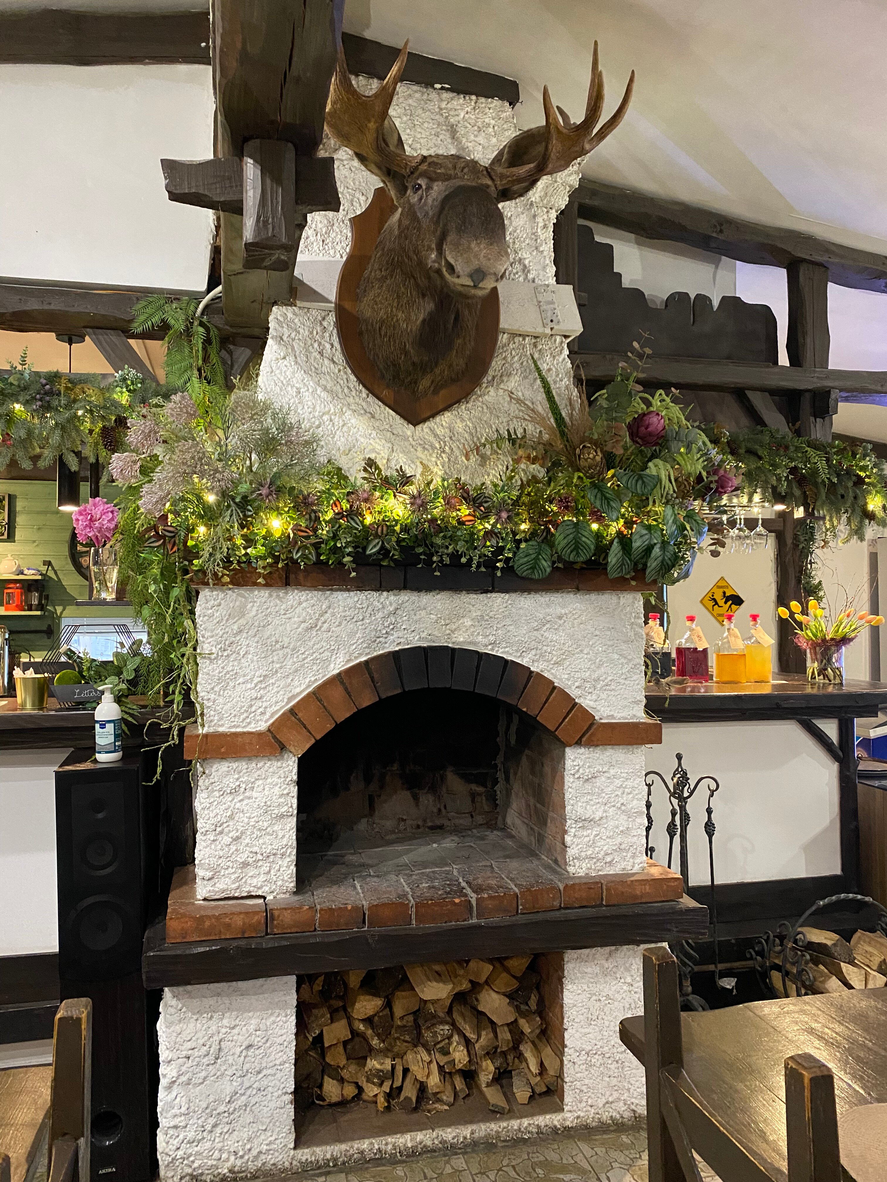 Фото Добрый Лось