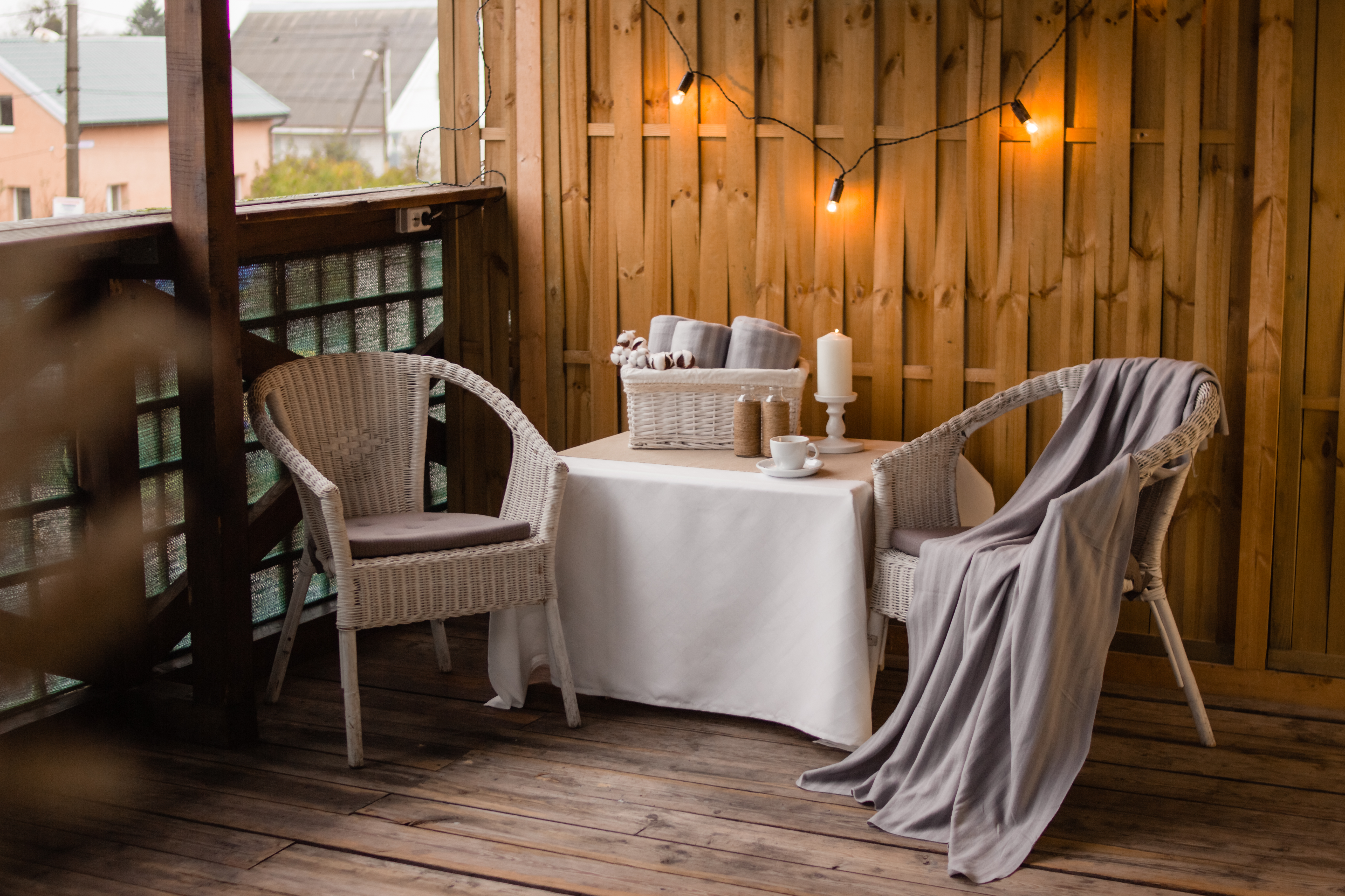 Фото Калина