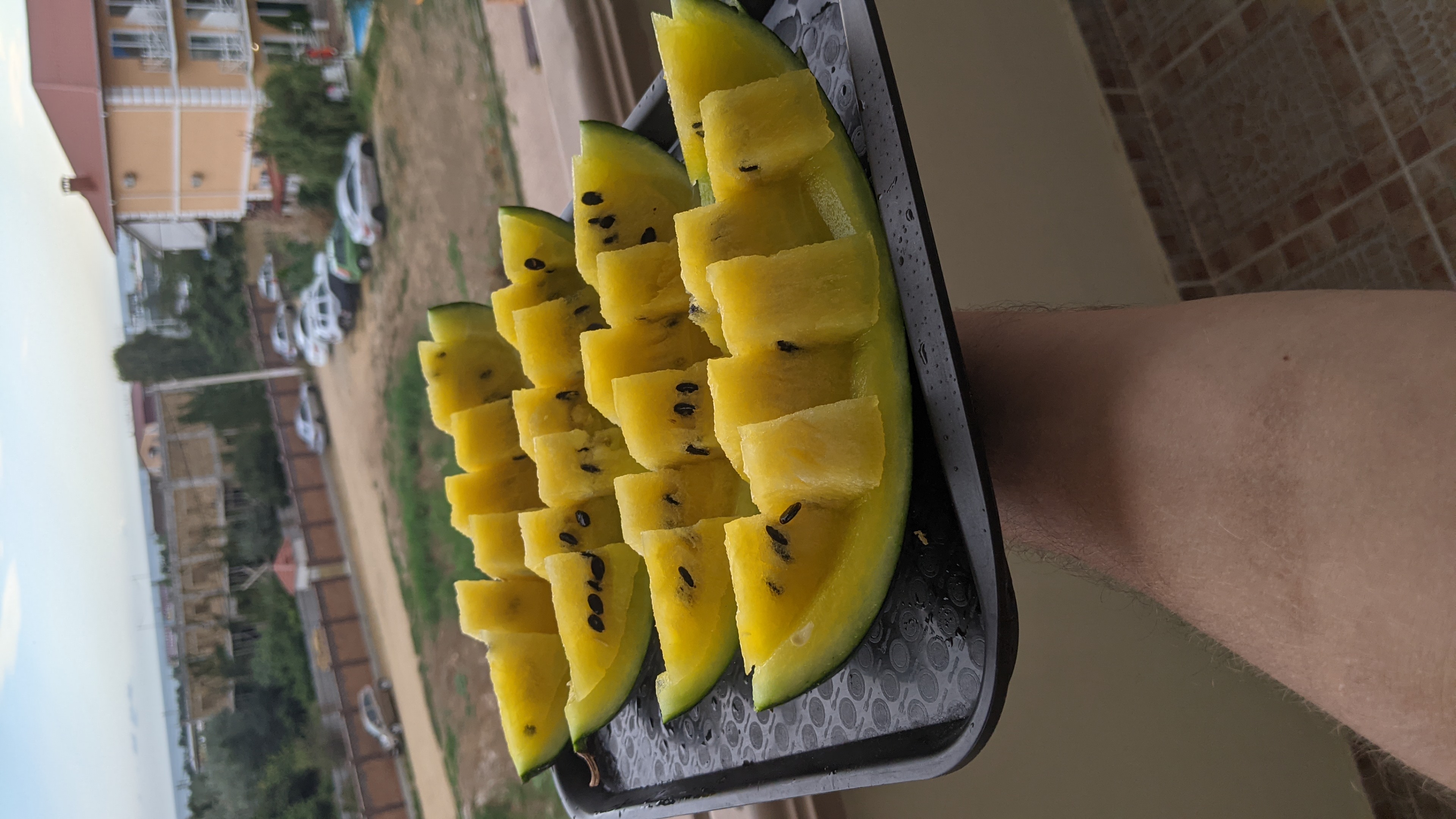 Фото Вилла Маэстро