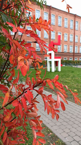 Аяқтардың арасындағы порнография