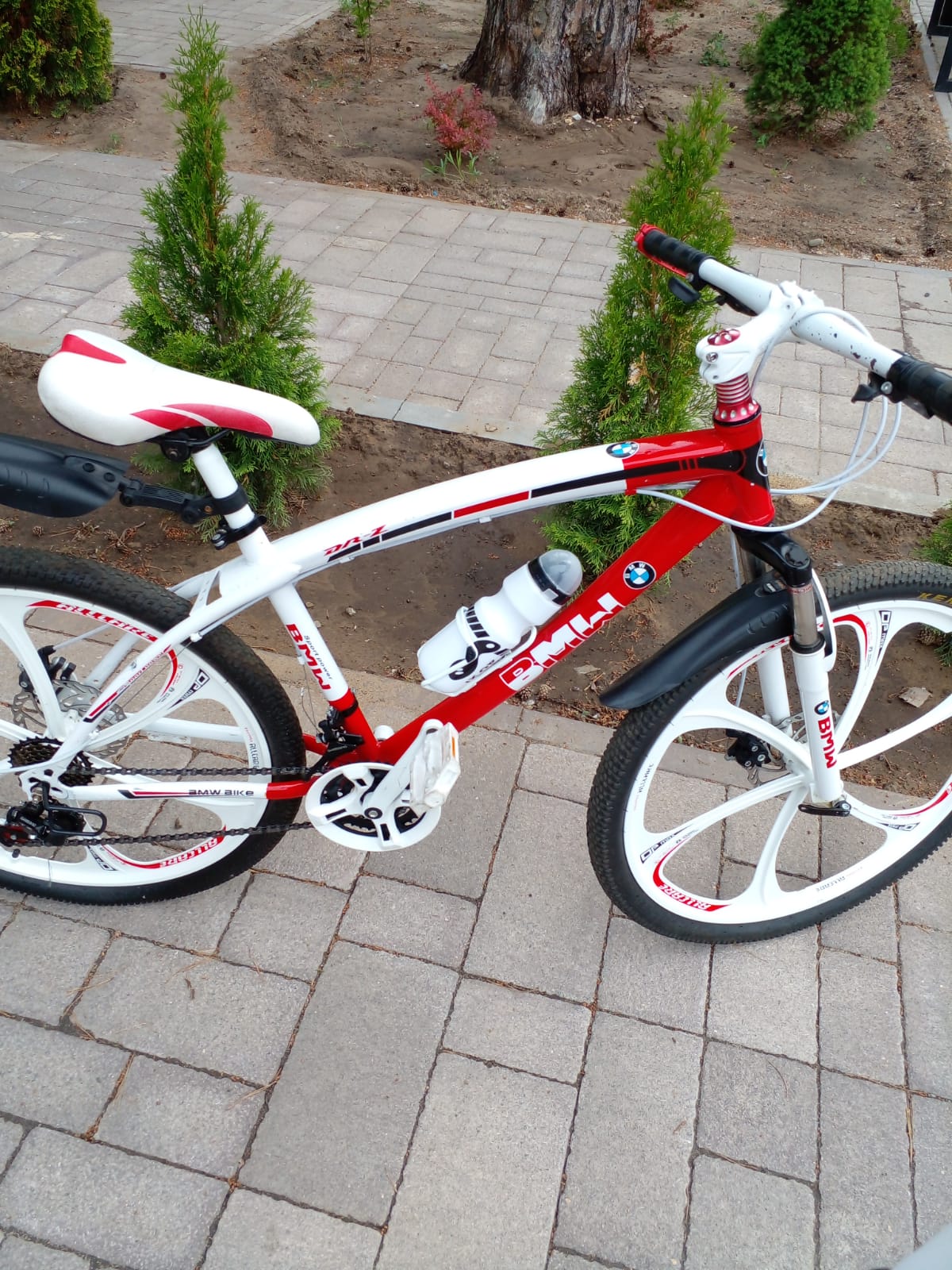 Фото Икорец