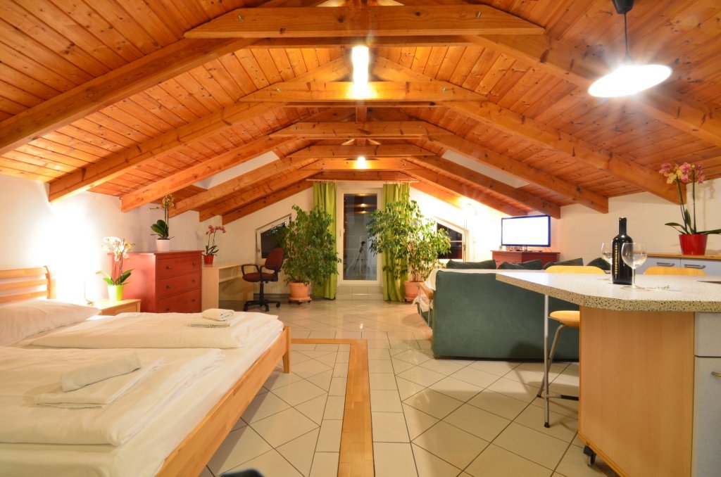 Фото Ajo Apartments Danube