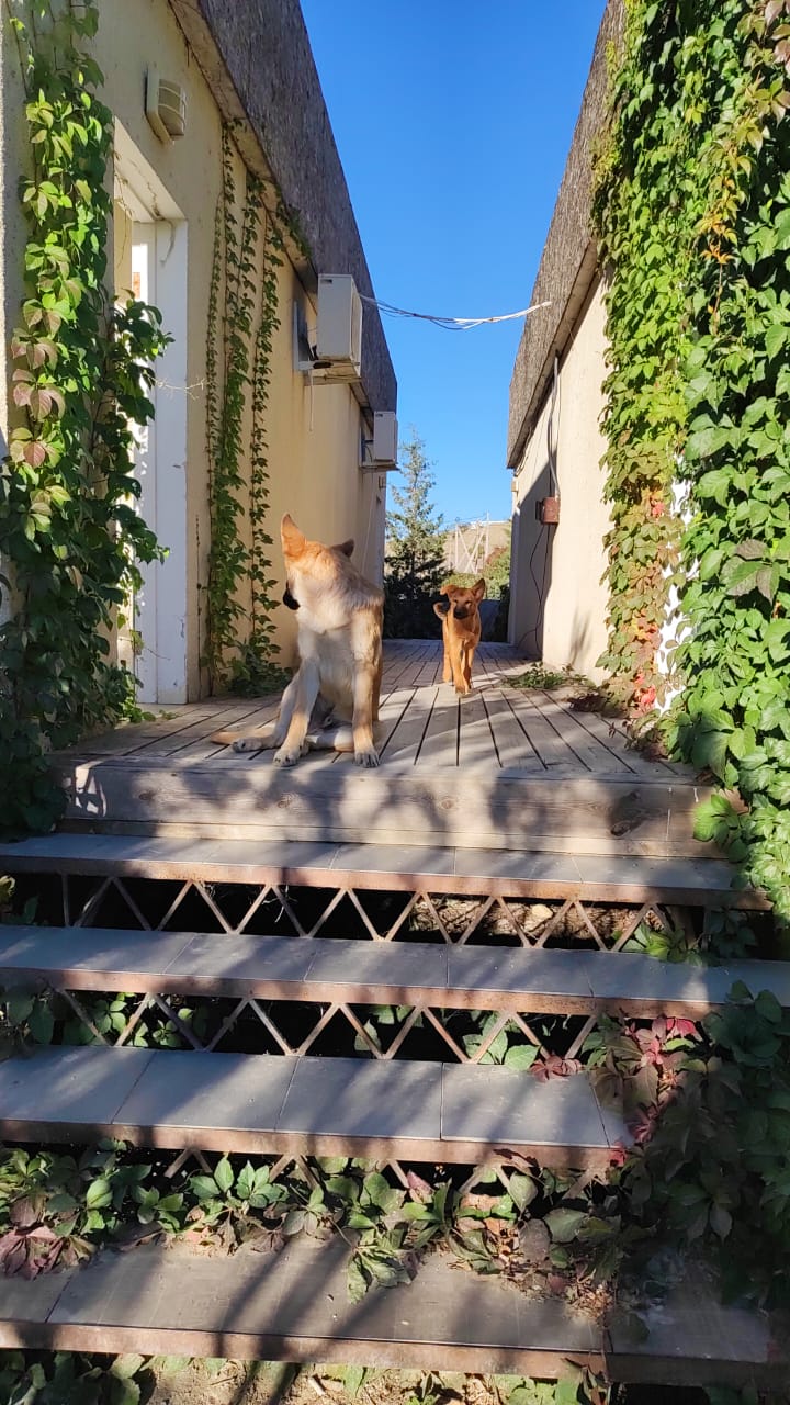 Фото Горки Крым