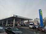 Qiwi (Dostyk Avenue, 99/1), payment terminal