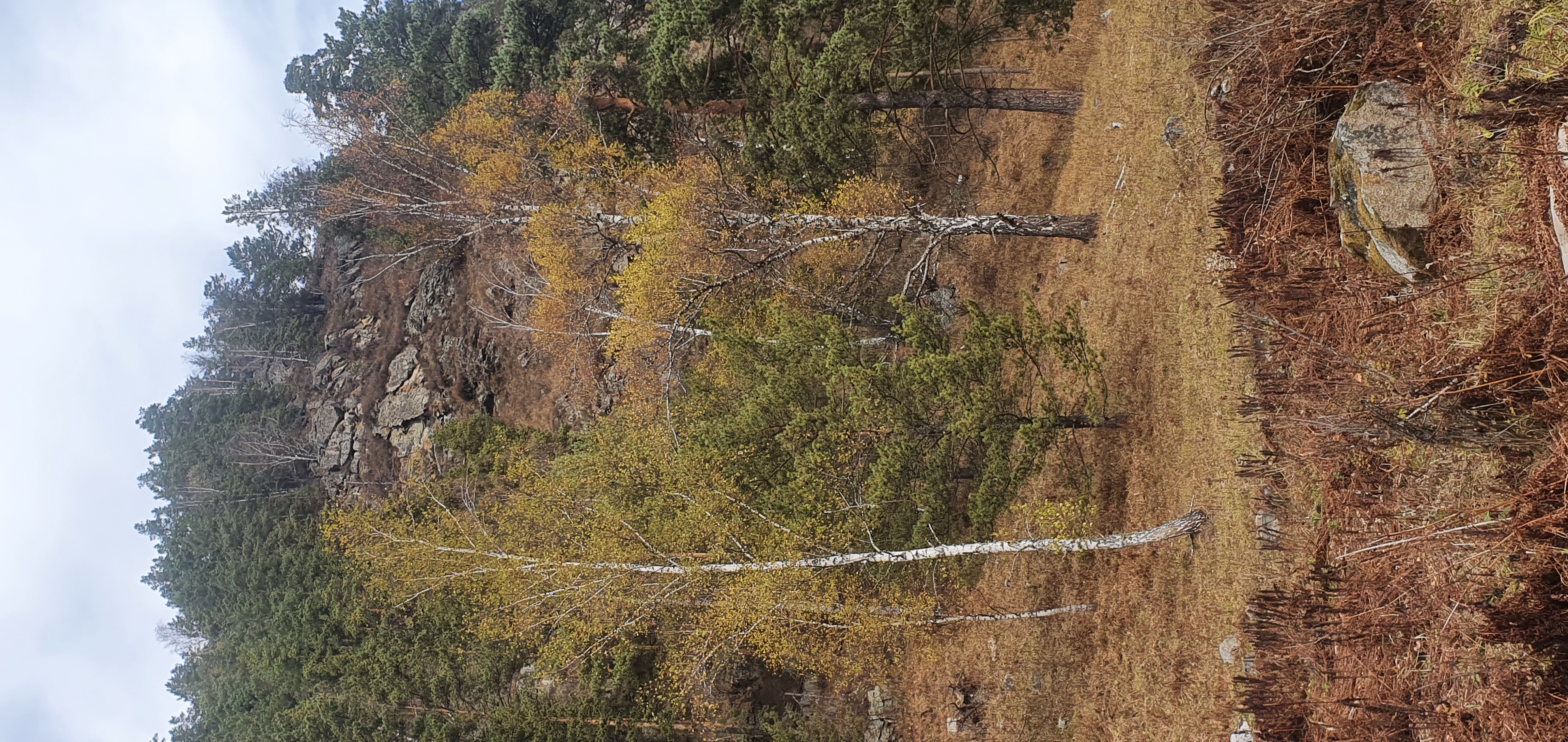 Фото Каракольские ворота