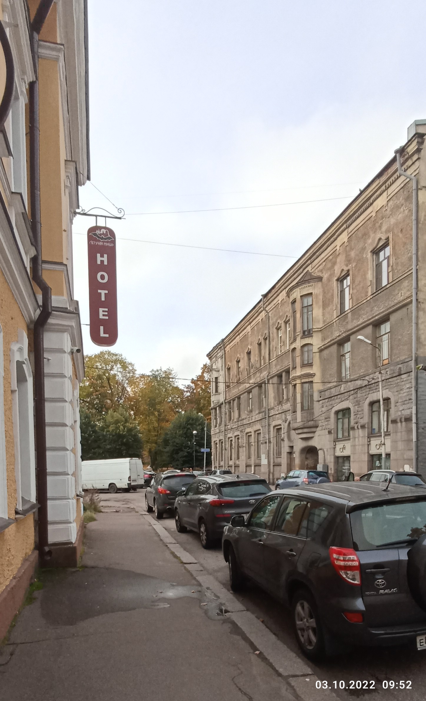 Фото Летучая мышь