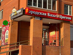 Gorodskaya baza cvetov (Rozhdestvenskaya Street, 5), flower shop