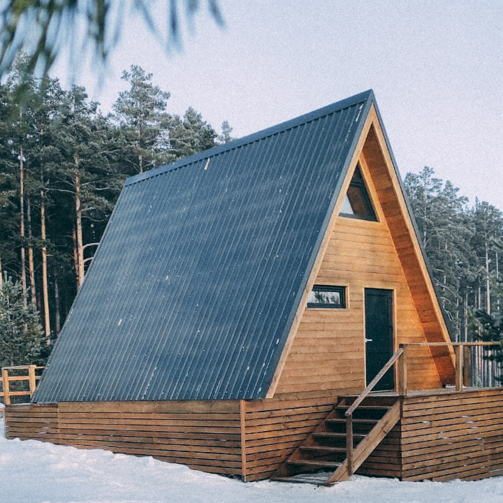 Фото Ёлки Кэмп