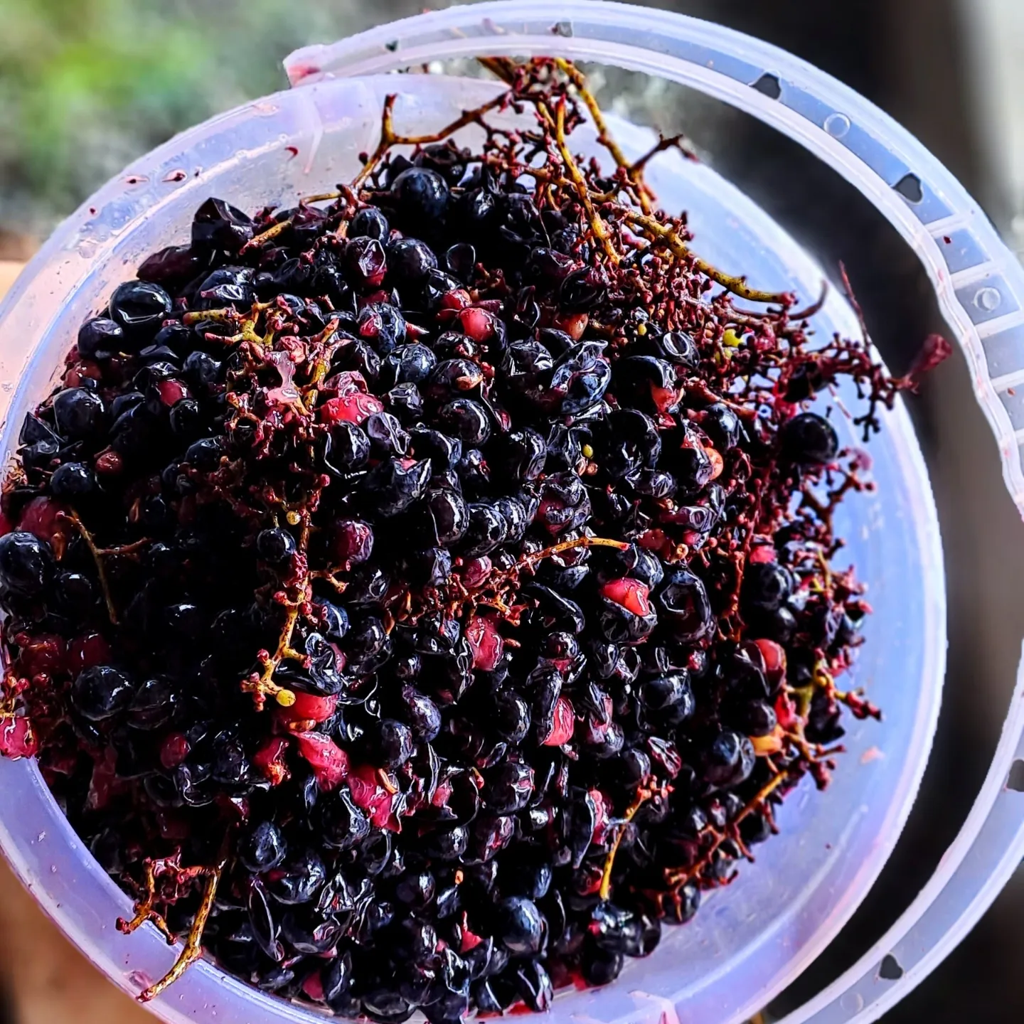 Фото Marani Mtrediani Wine Lodge