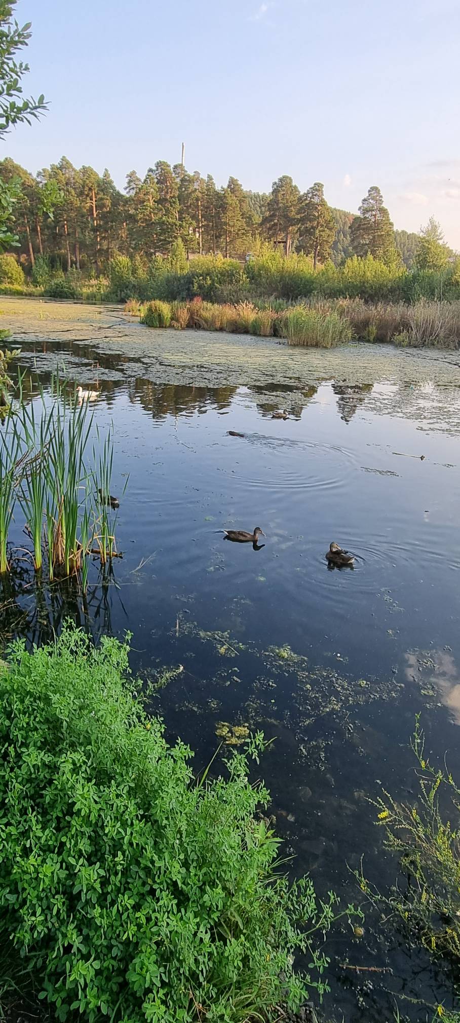 Фото Дом у озера