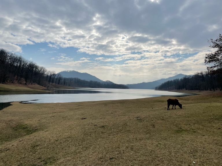 Фото Lankaran Springs Wellness Resort