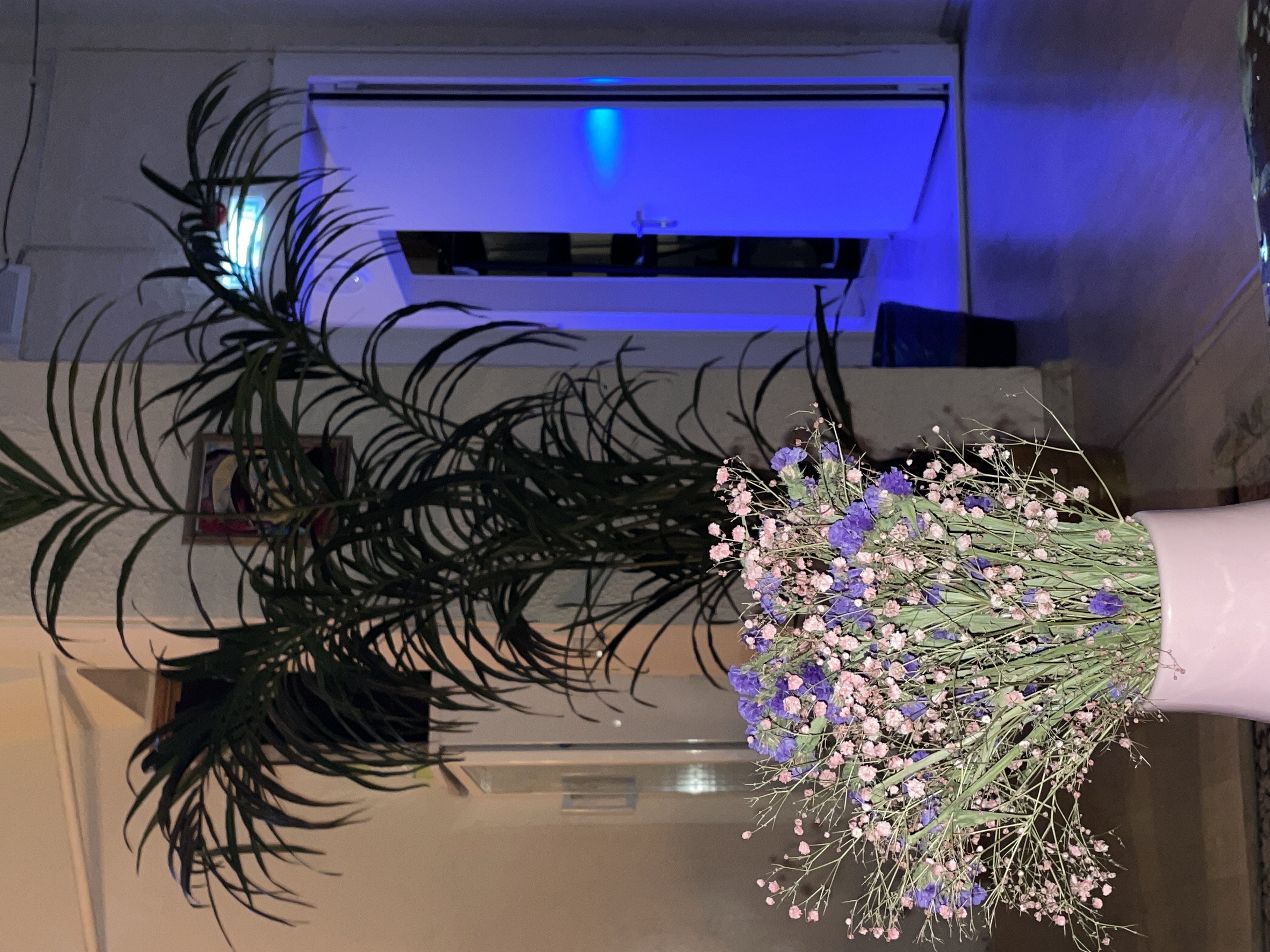 Фото Пастернак