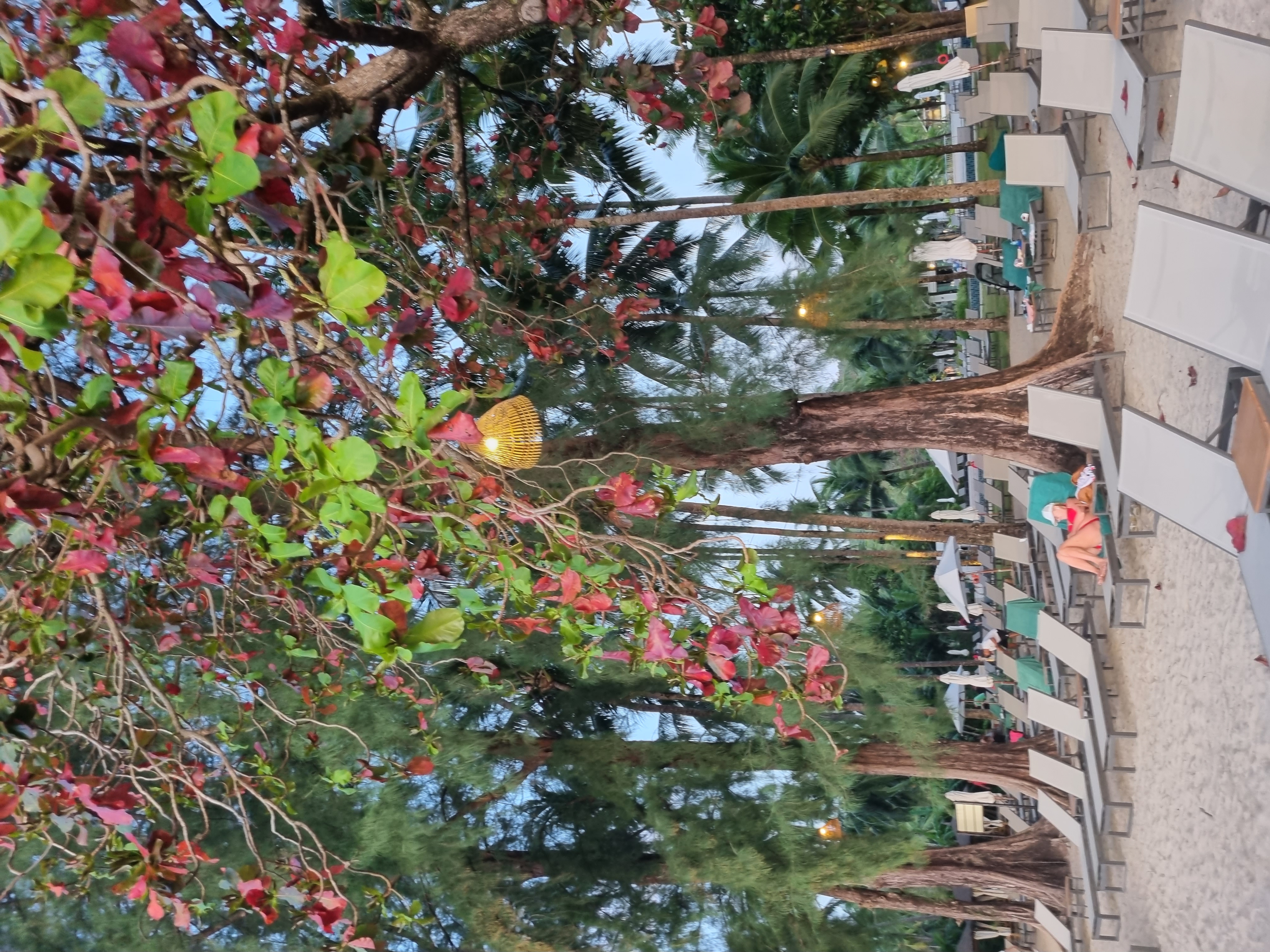 Фото Outrigger Khao Lak Beach Resort