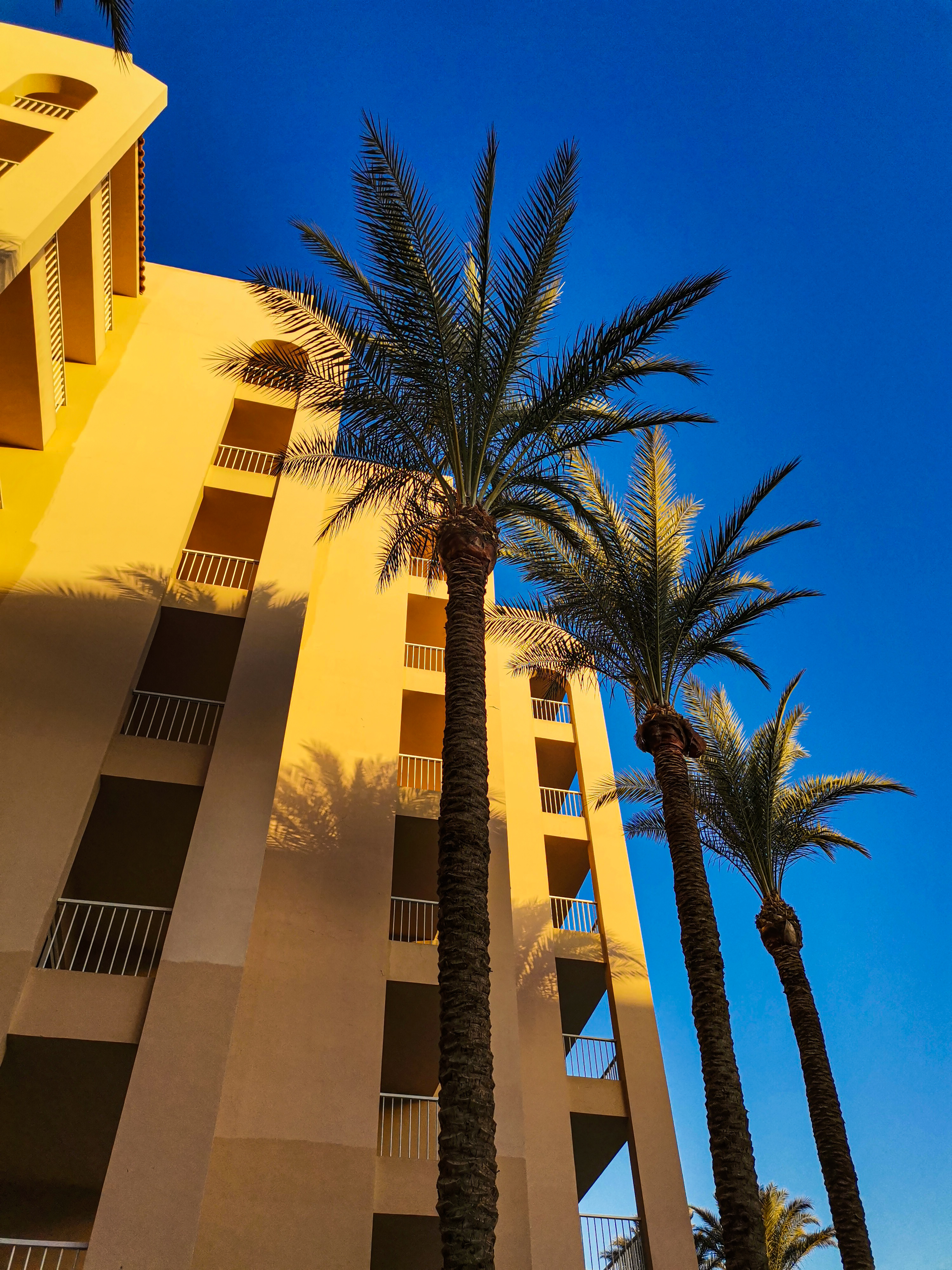 Фото 89227095207