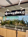 Тринфико (Ботанический пер., 5, Москва), инвестиционная компания в Москве