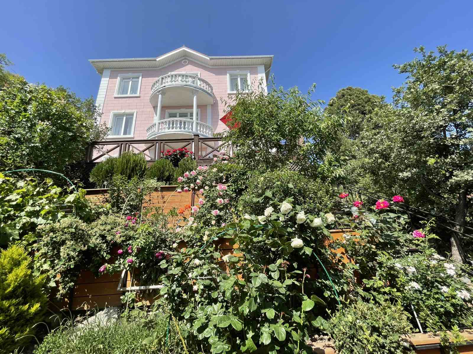 Фото Арт Прованс у моря