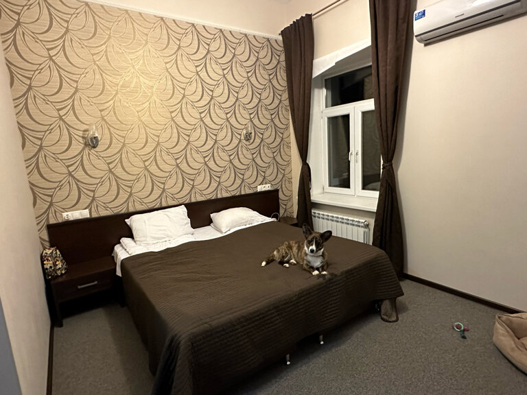 Фото Фроотель