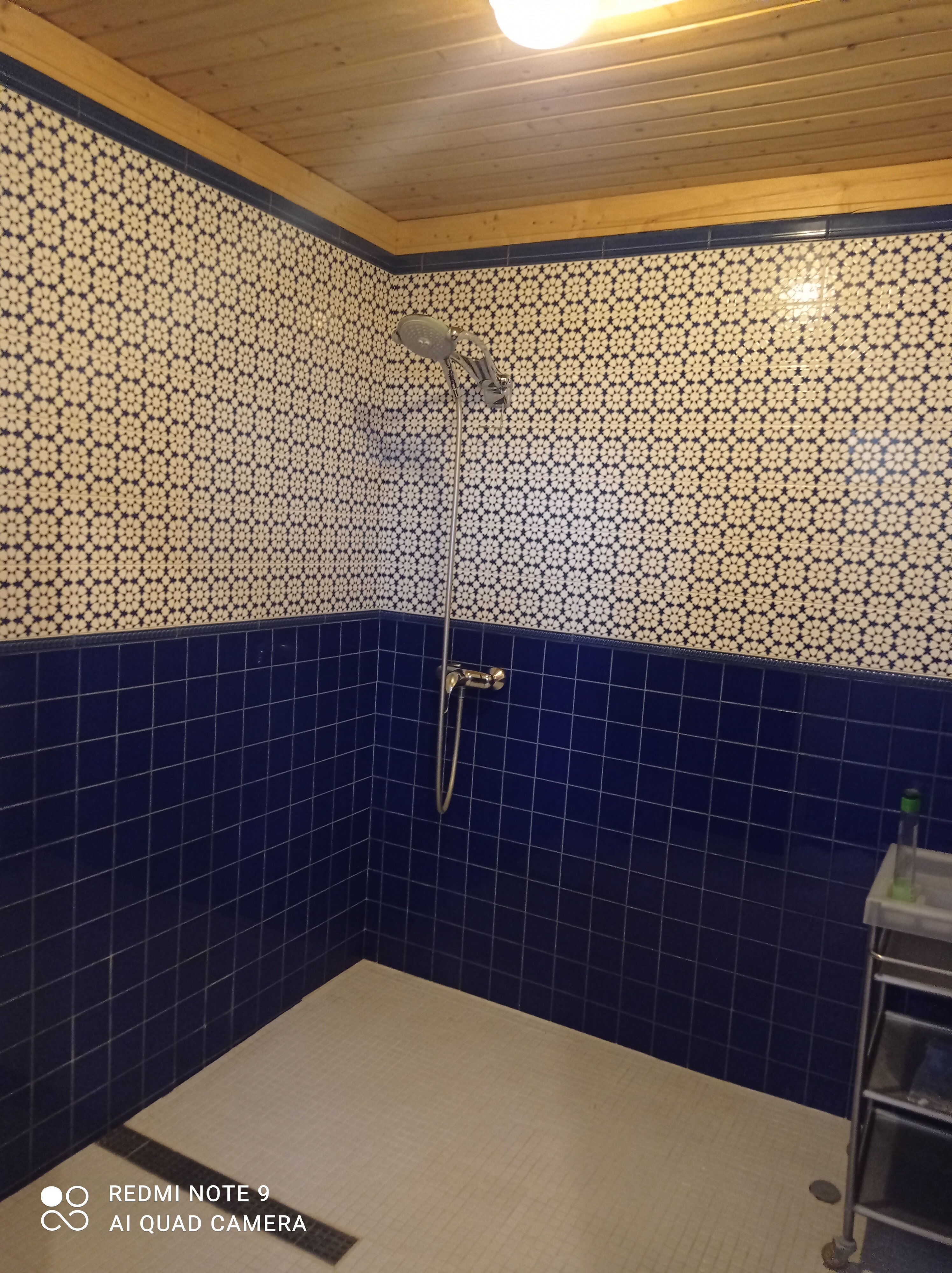 Фото Саттва