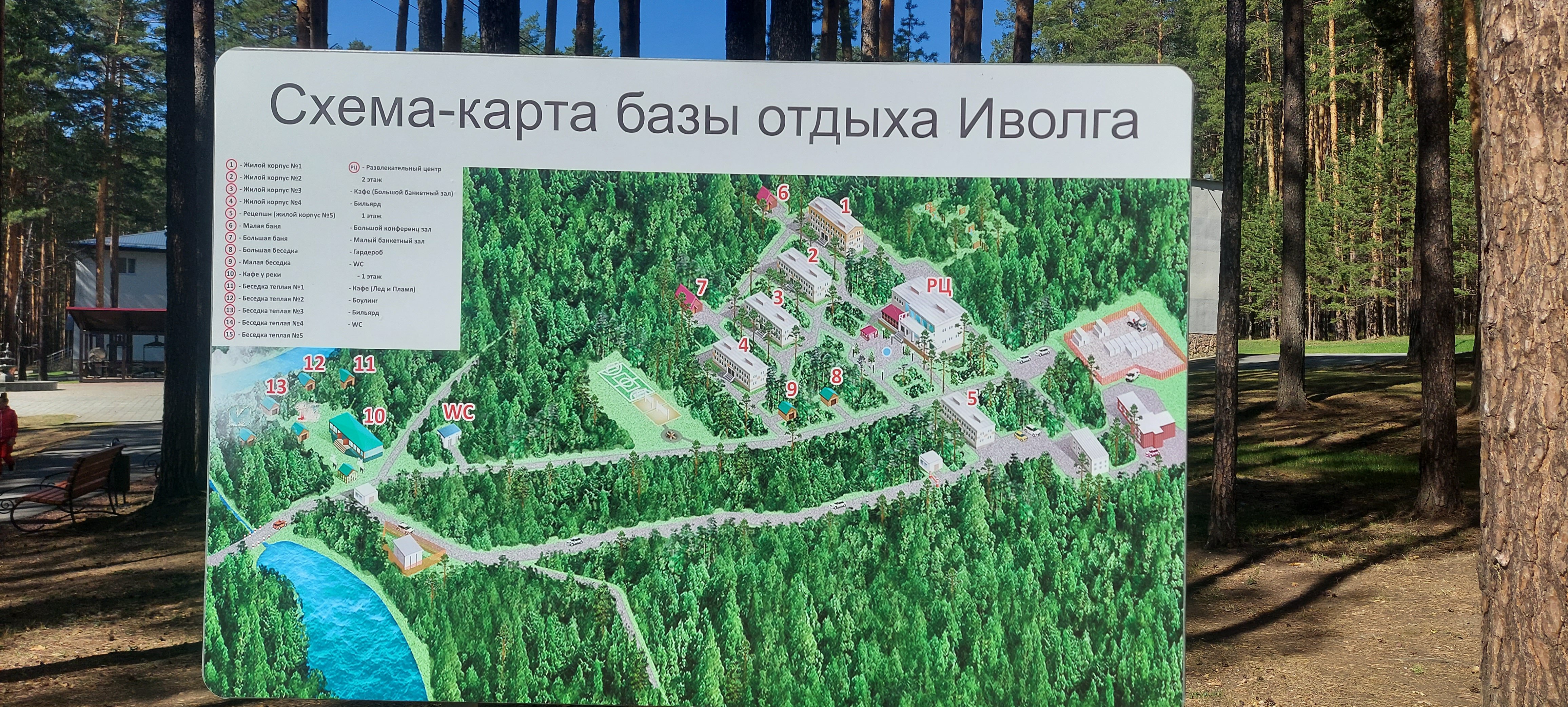 Фото Иволга