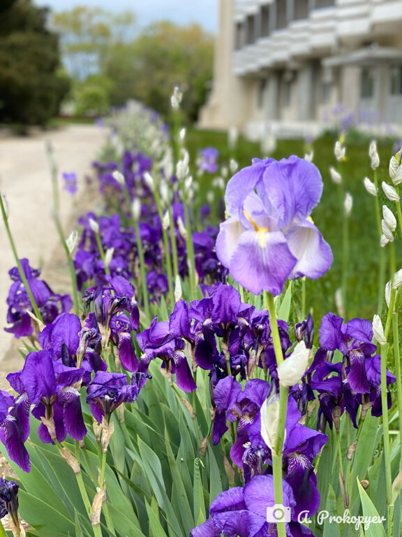 Фото Голубой залив