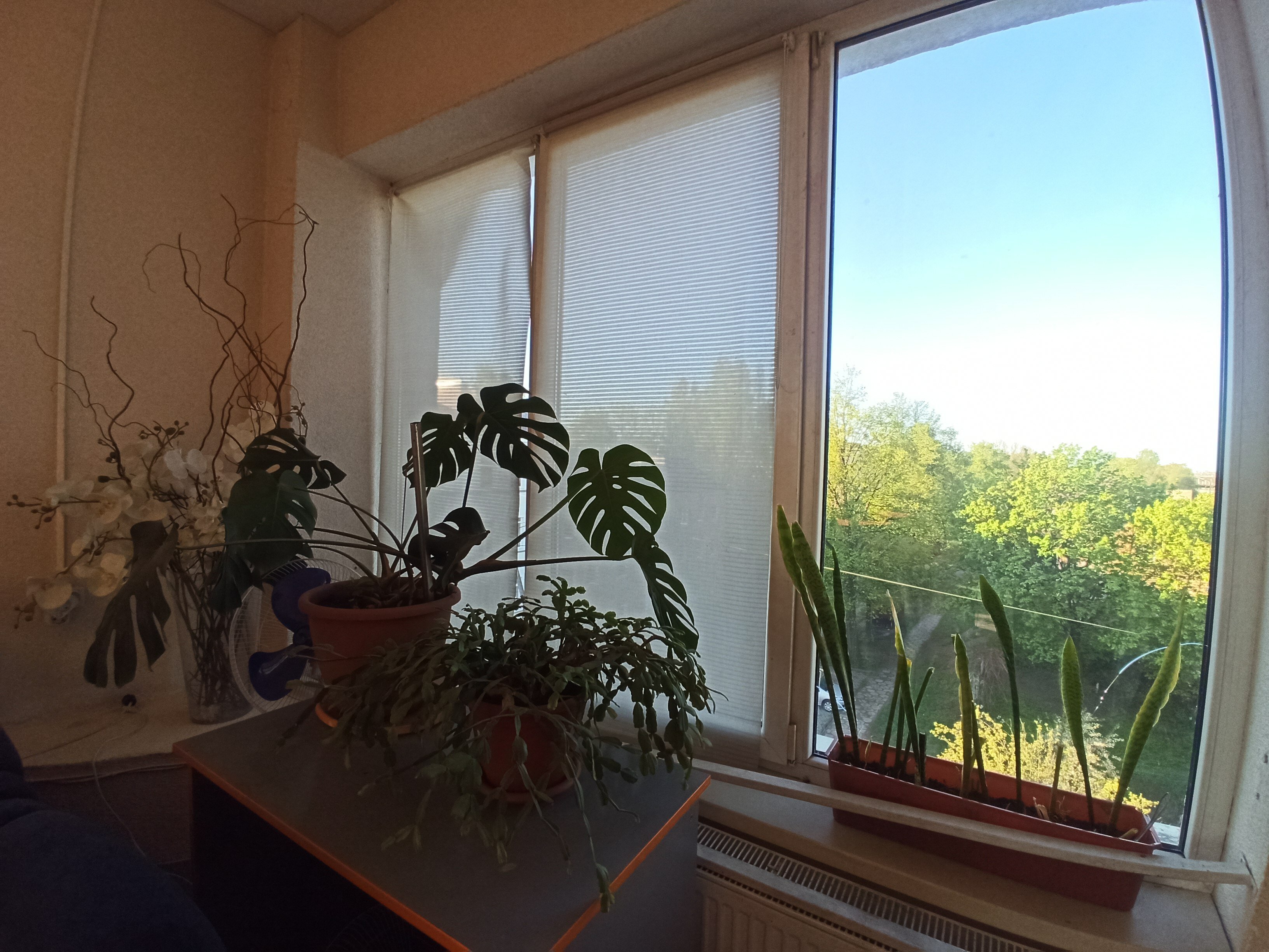 Фото Экспресс