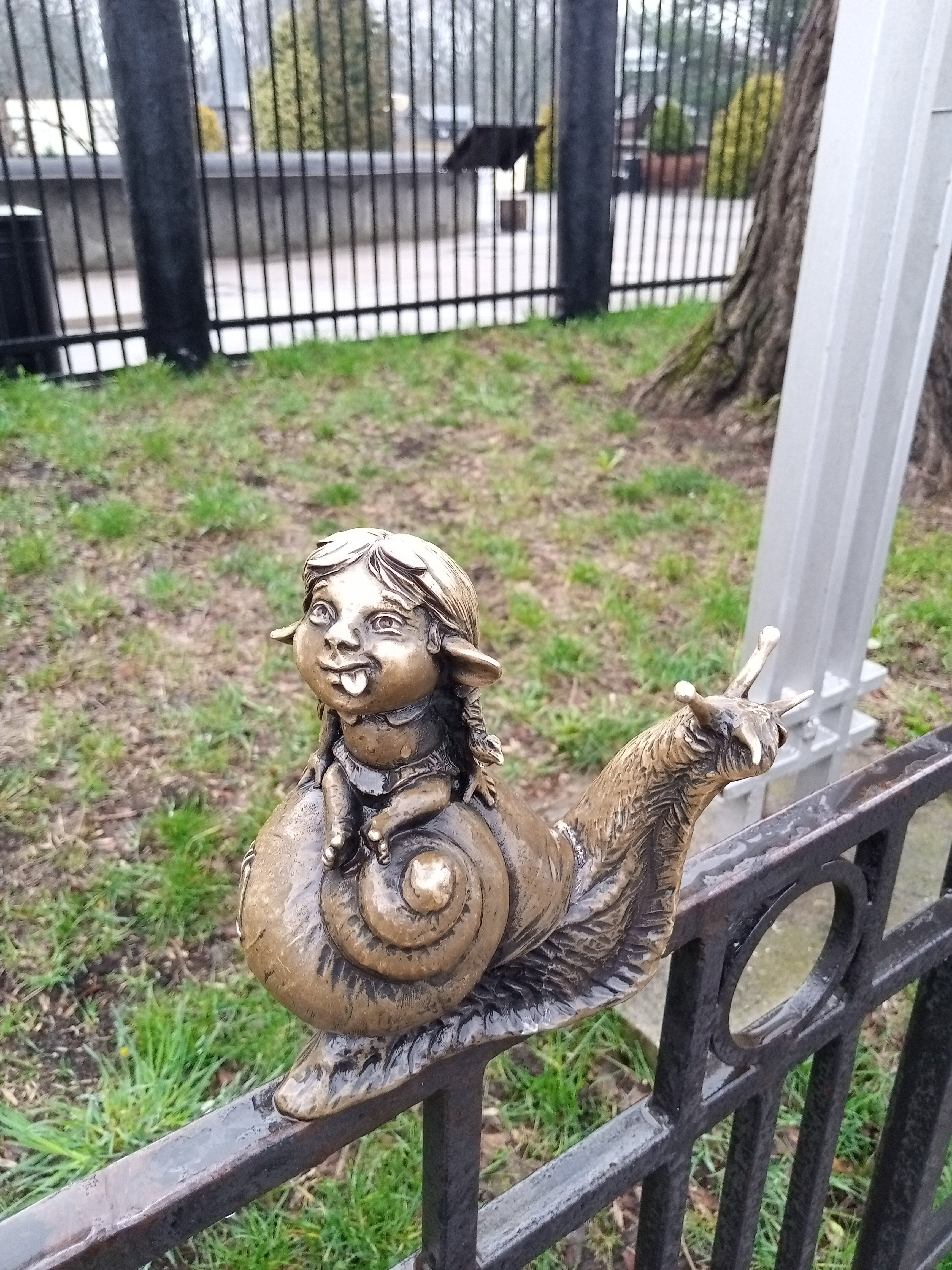 Фото Балтика