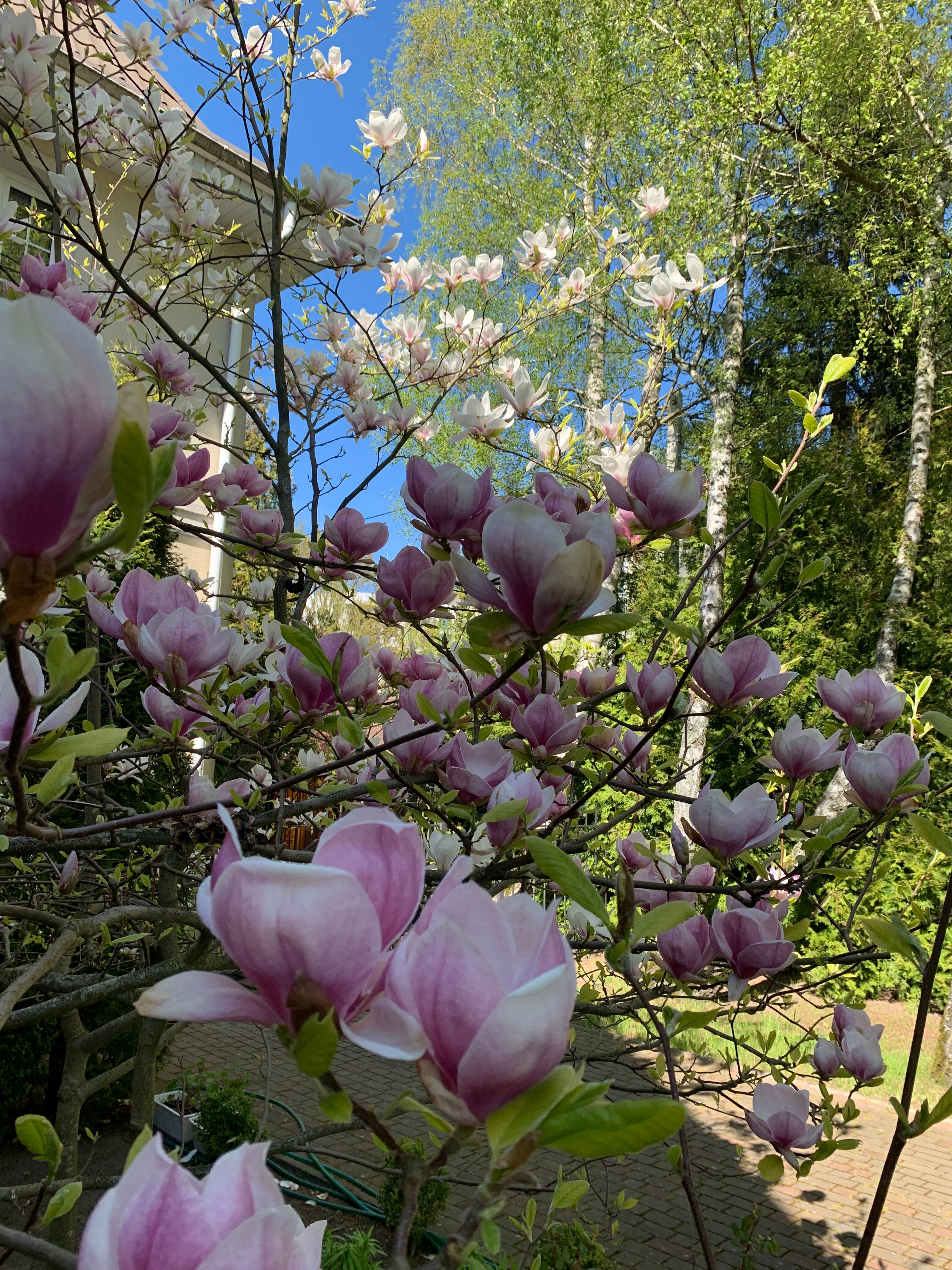 Фото Вилла Гренч