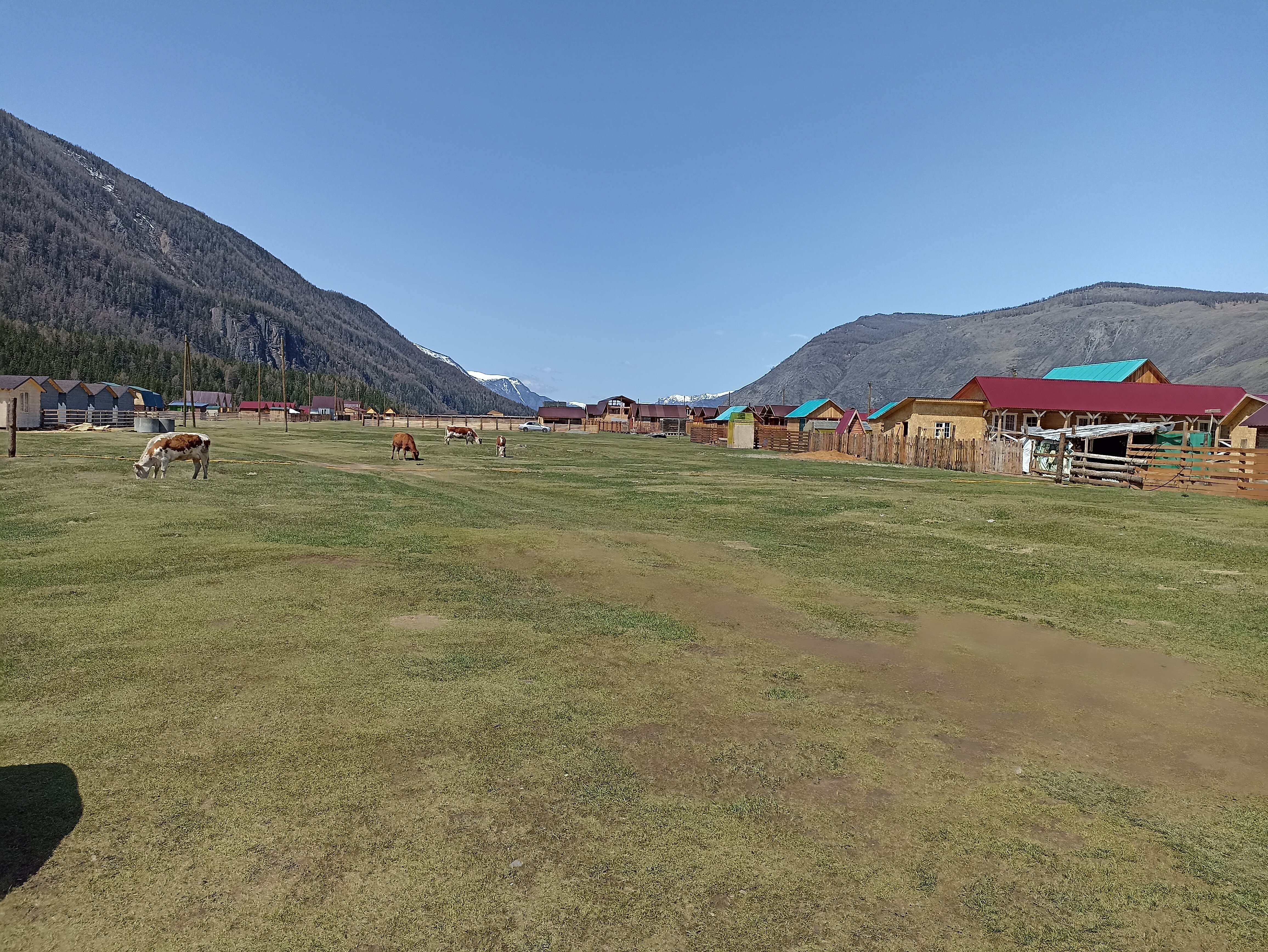 Фото Атмосфера Алтая