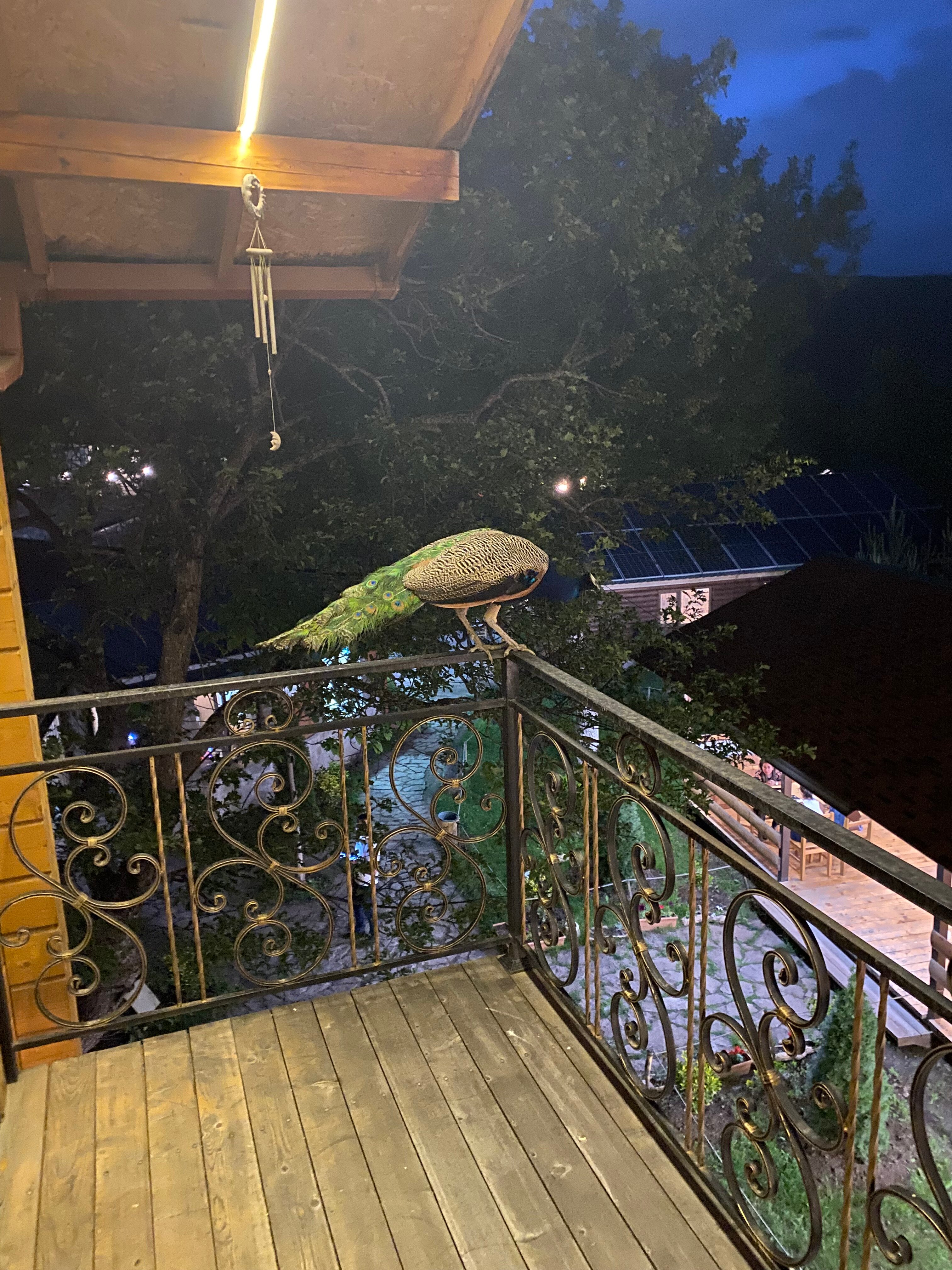 Фото Семейный Гостиничный Комплекс Цовасар