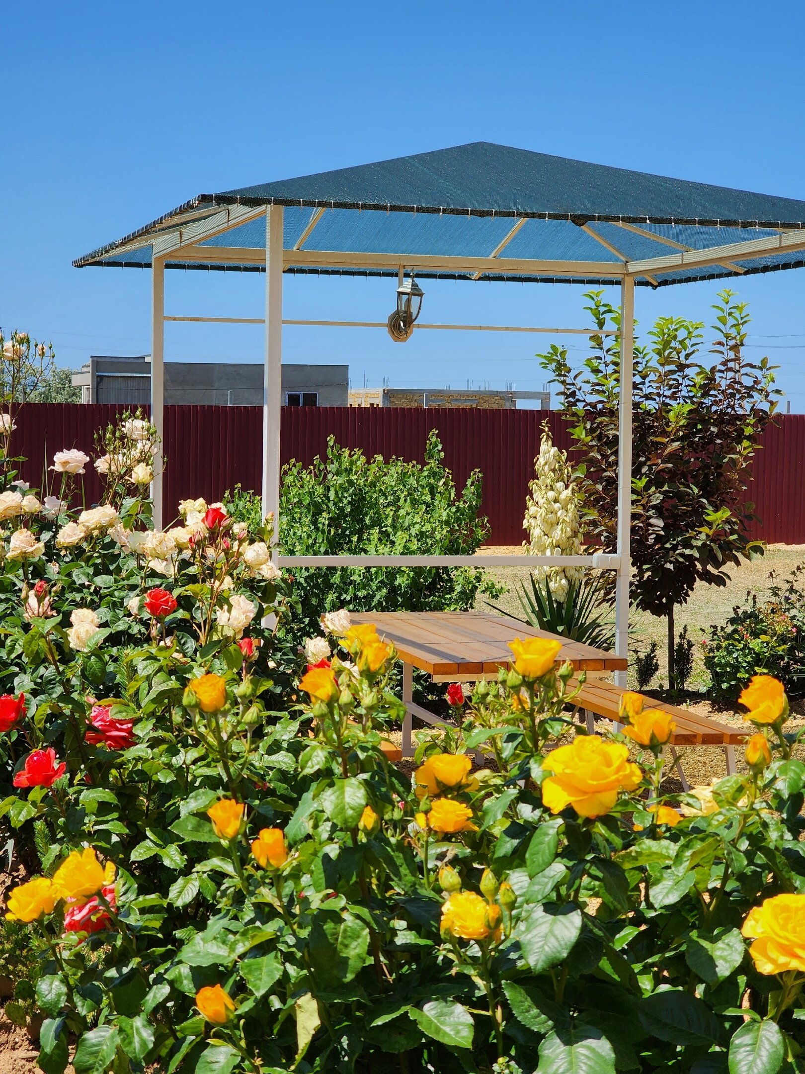 Фото Мерджан