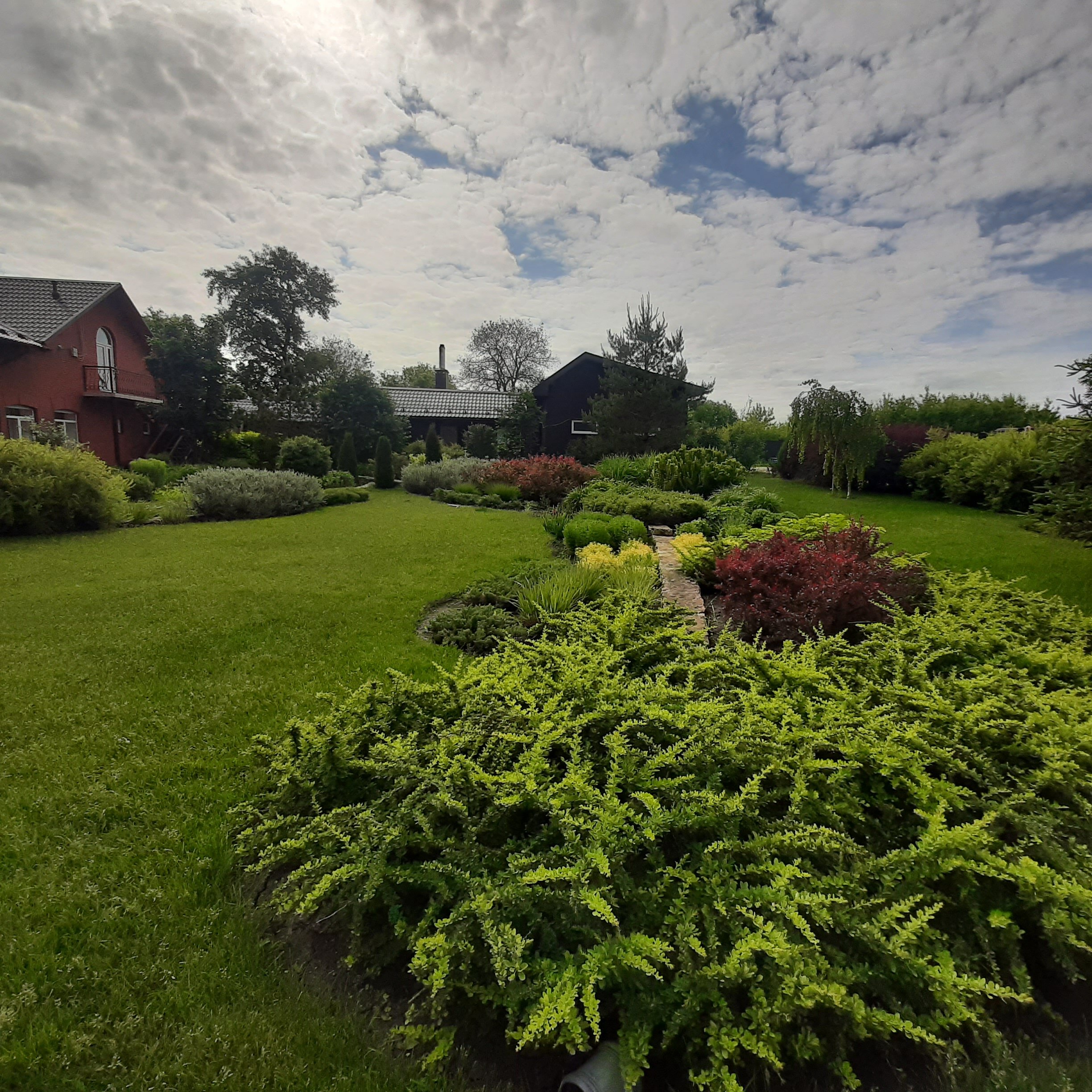 Фото Надежда