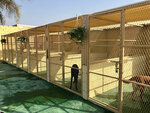 Homely Petz (Al Dhait North, Sector 4, Ras Al Khaimah), veterinary clinic