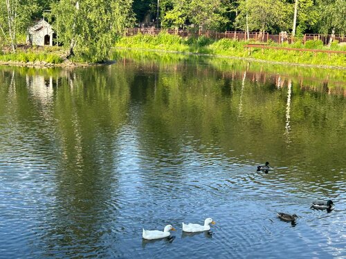 Свингерлер және ауызша секс