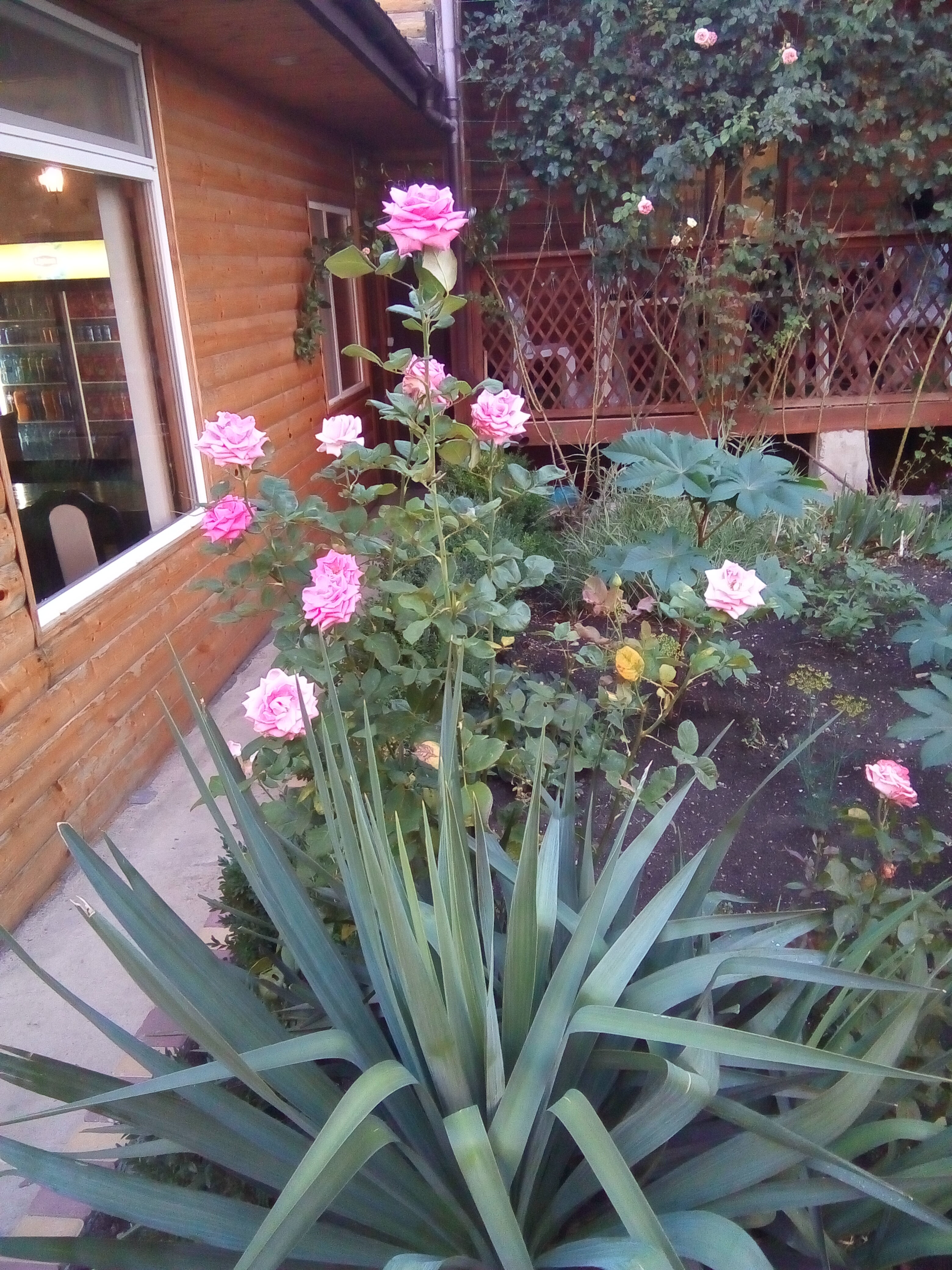 Фото Вилла Гаянэ