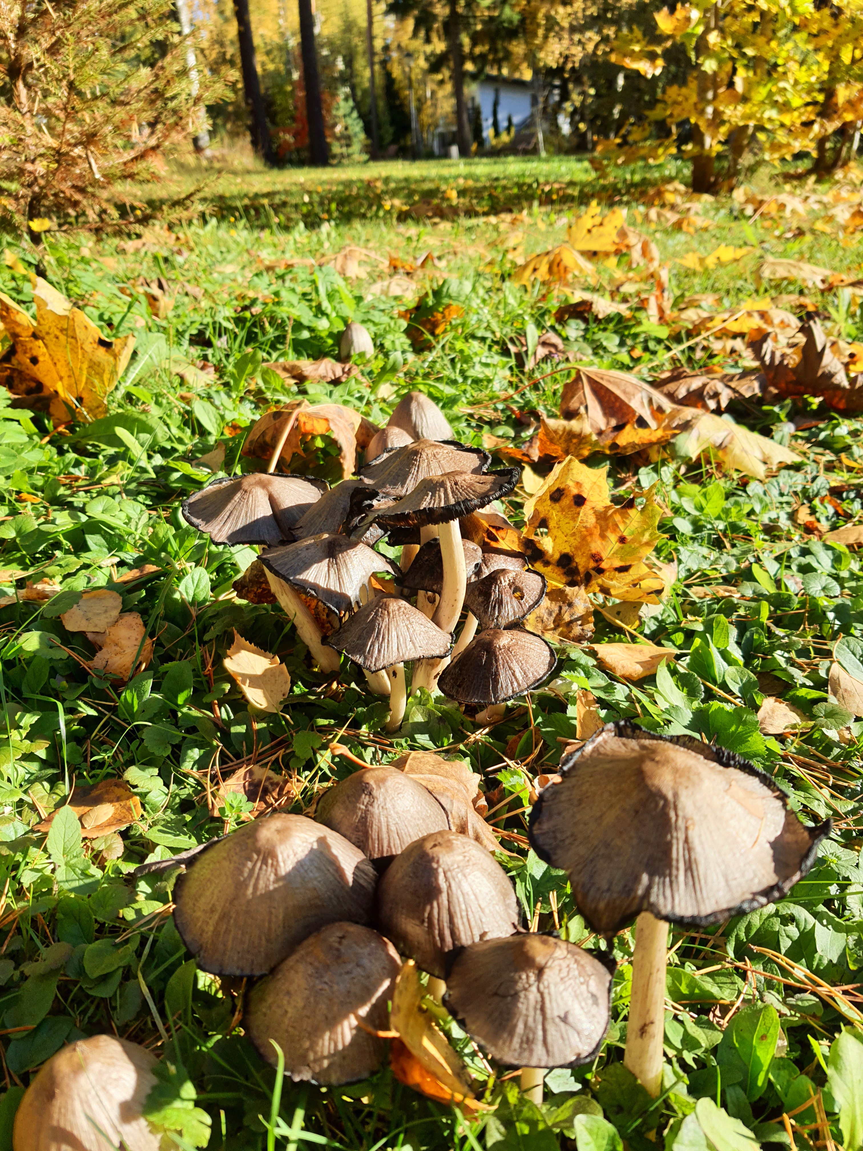 Фото Дом творчества Архитектор