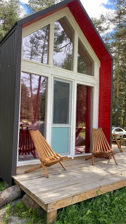 Фото Лесной кот