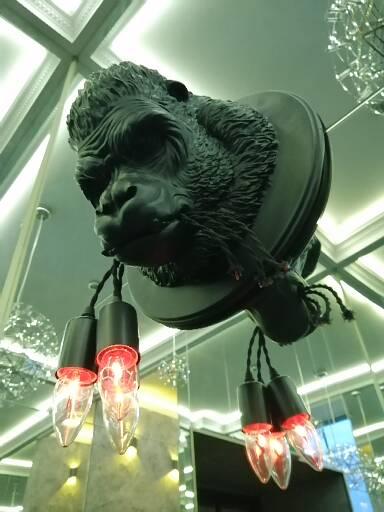 Фото Dragon SPA 16+