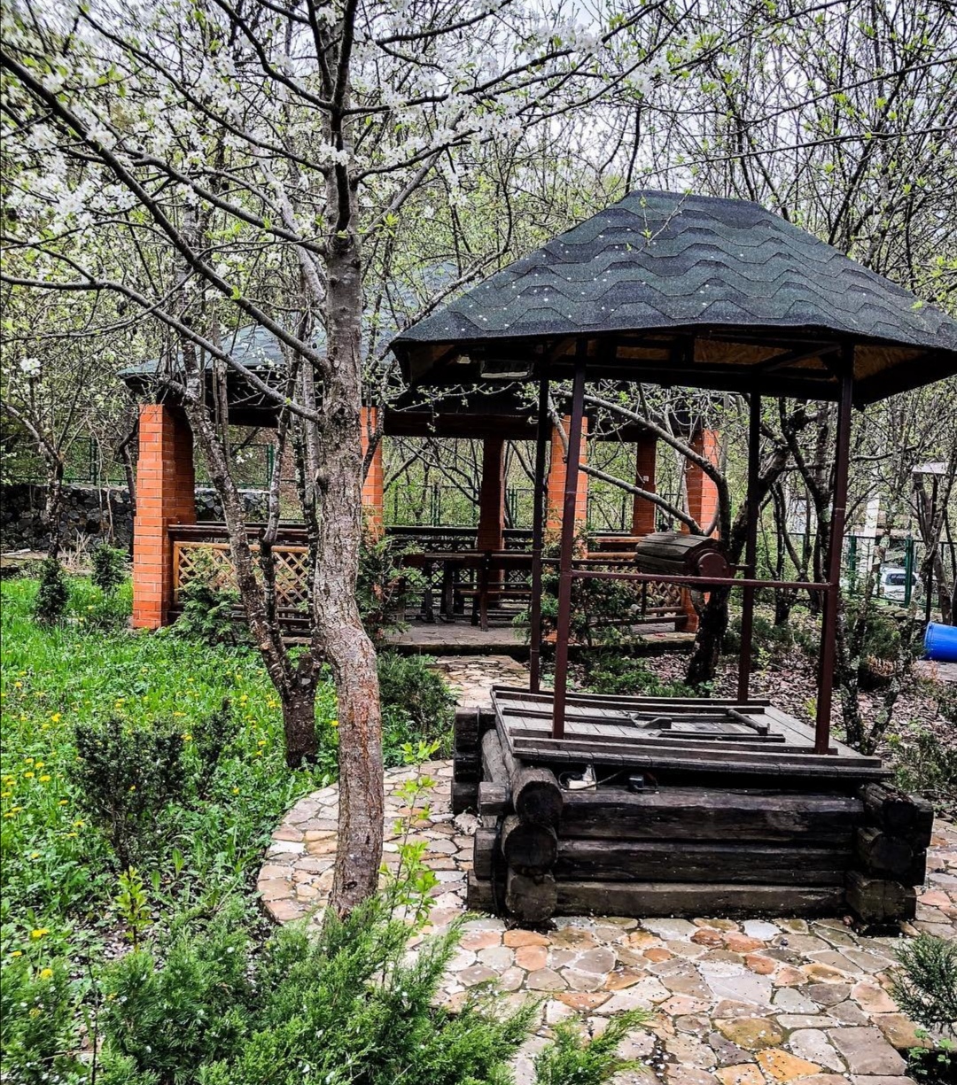 Фото Эдельвейс Ретро