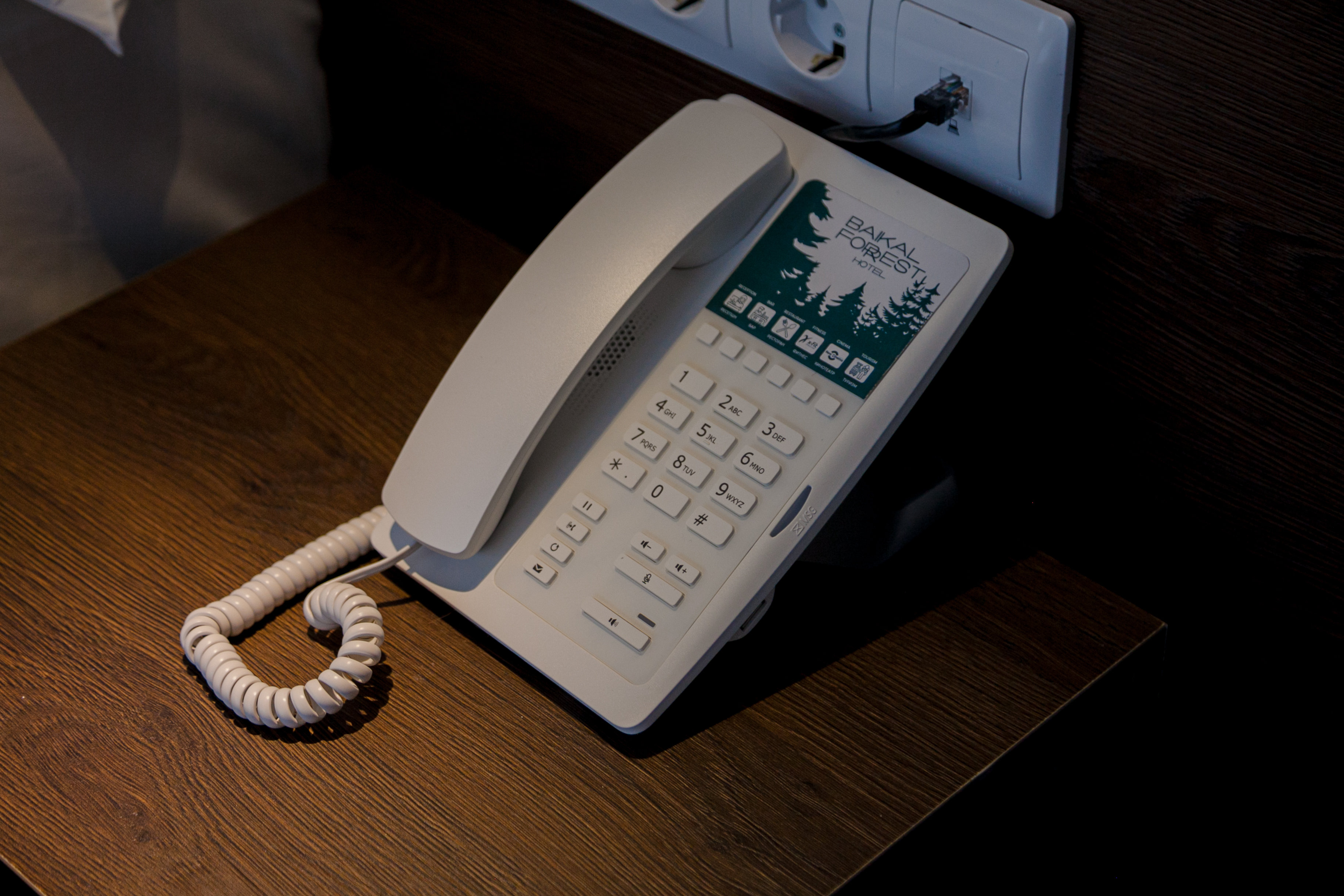 Фото Baikal Forest Hotel