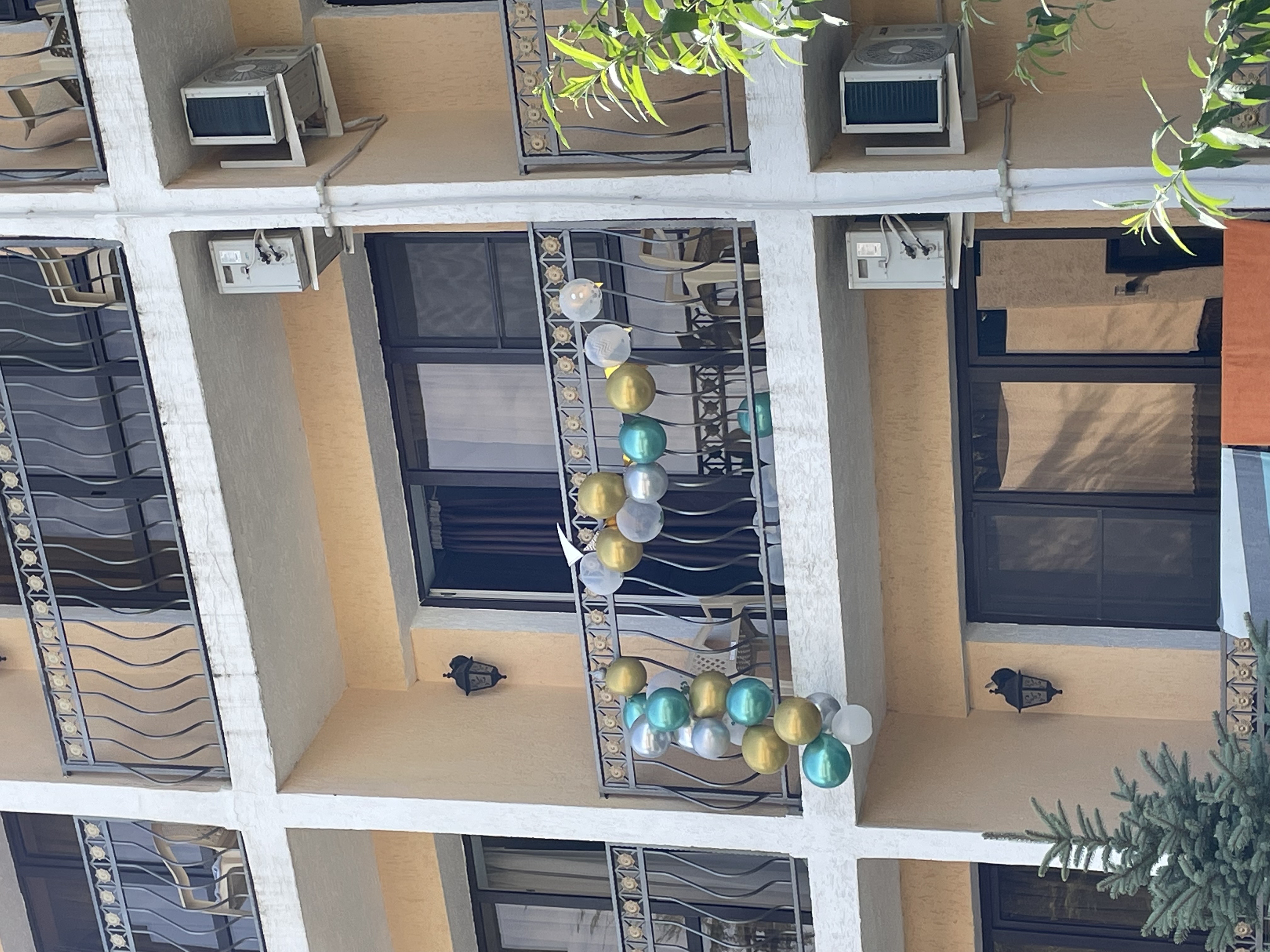 Фото Тристан