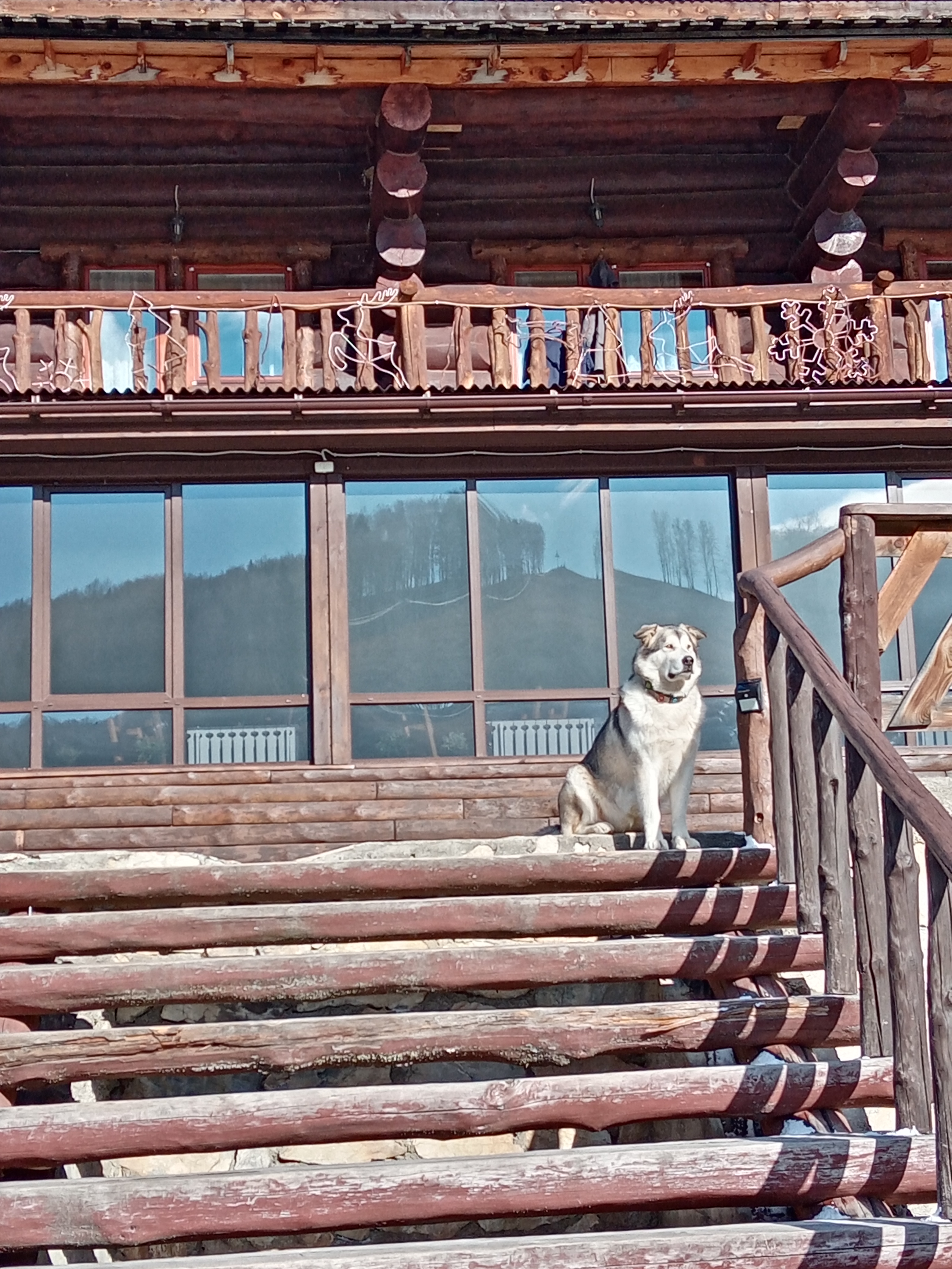 Фото Маральник Никольское